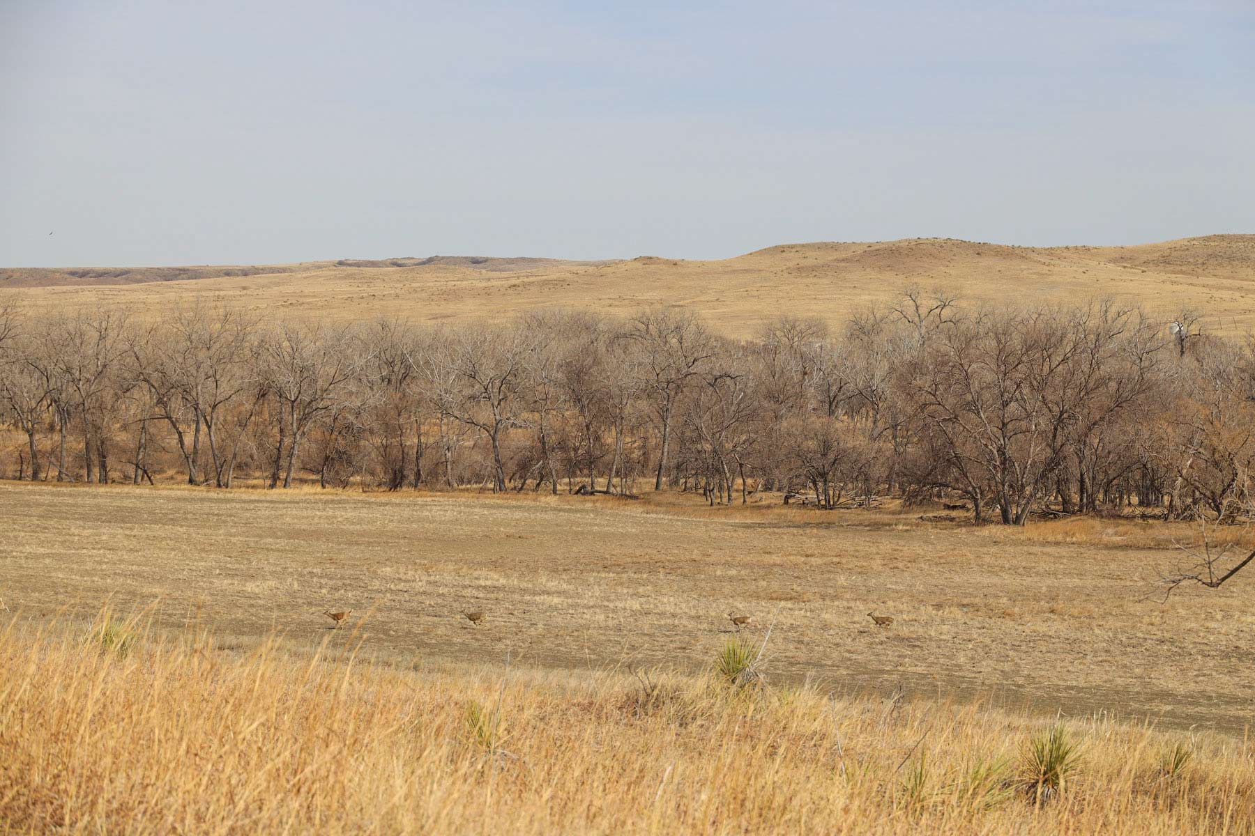 Little White River Ranch property picture 145 of 189