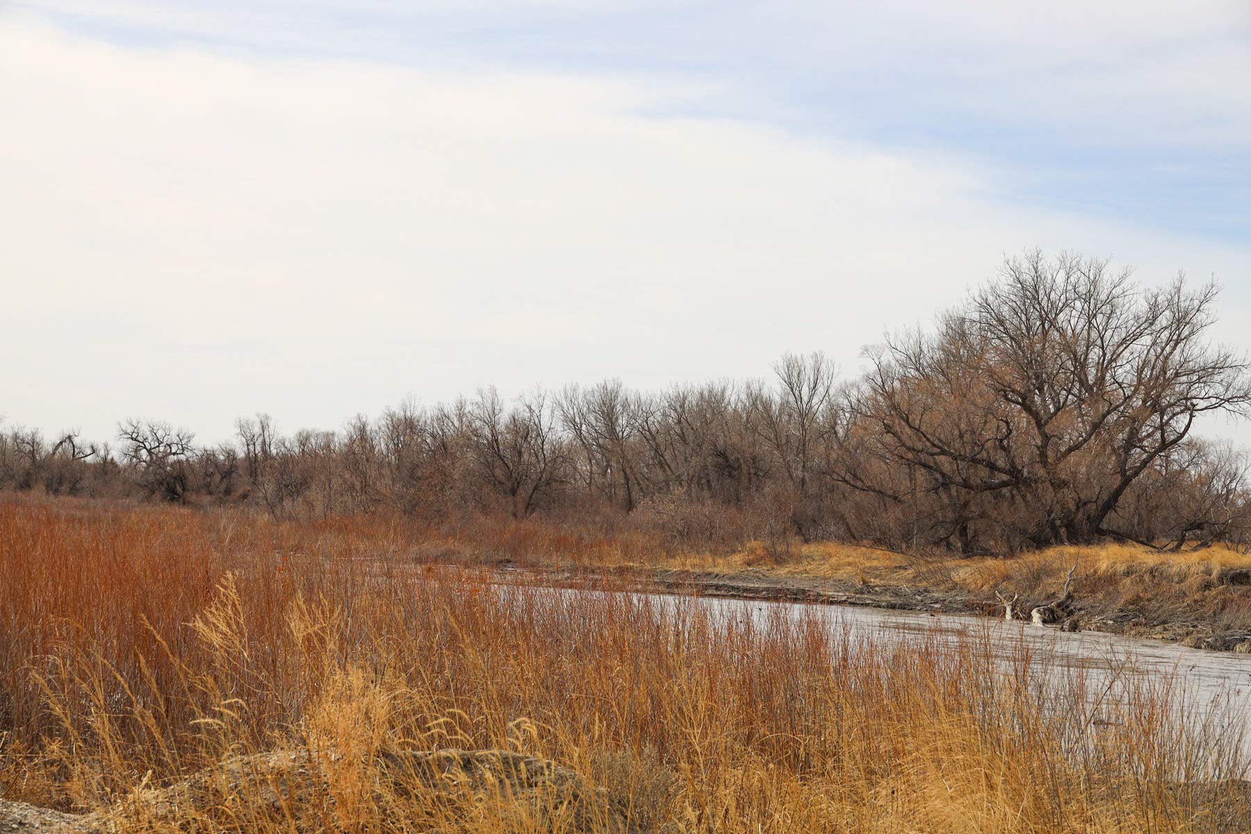 Little White River Ranch property picture 184 of 189