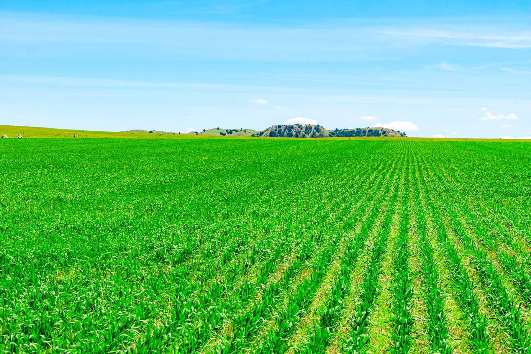 Little White River Ranch property picture 88 of 189