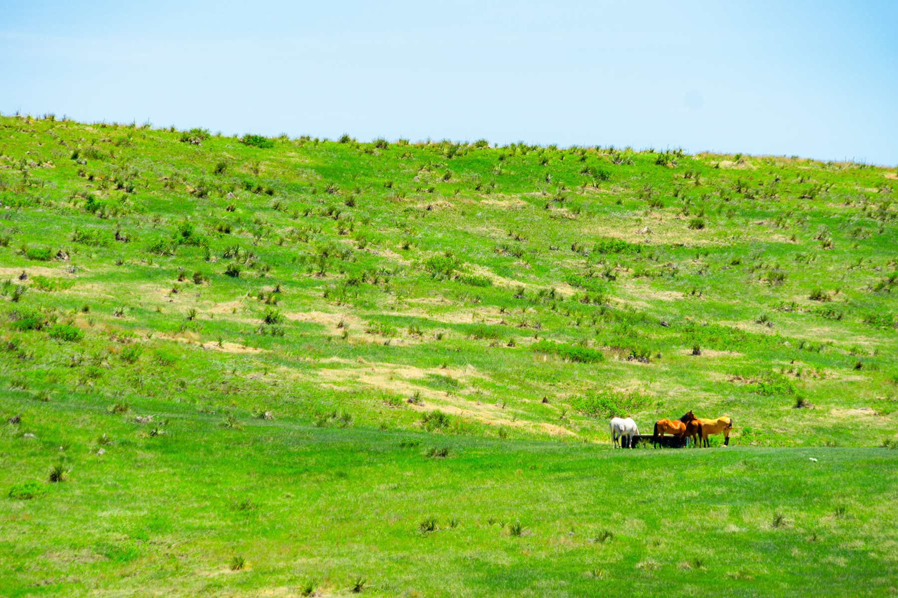 Little White River Ranch property picture 35 of 189