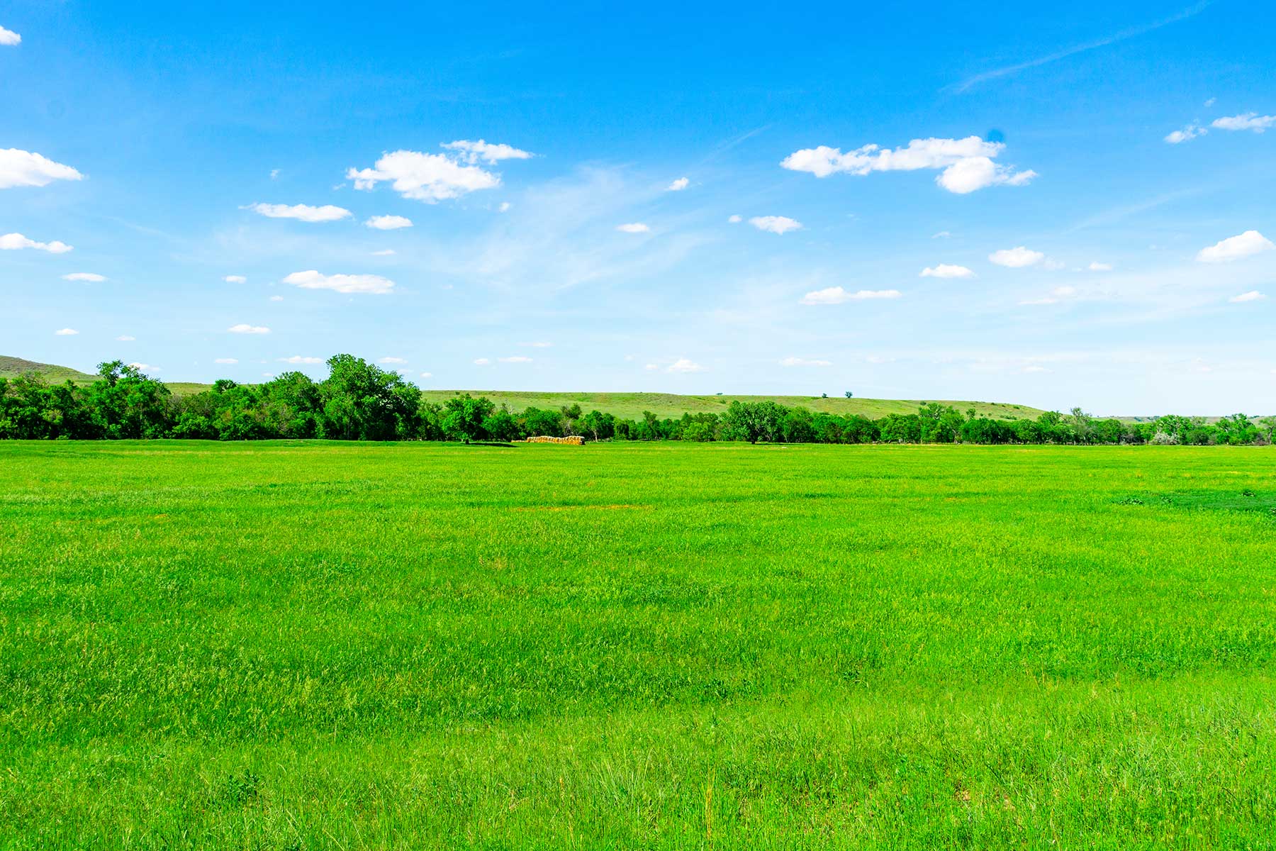 Little White River Ranch property picture 105 of 189