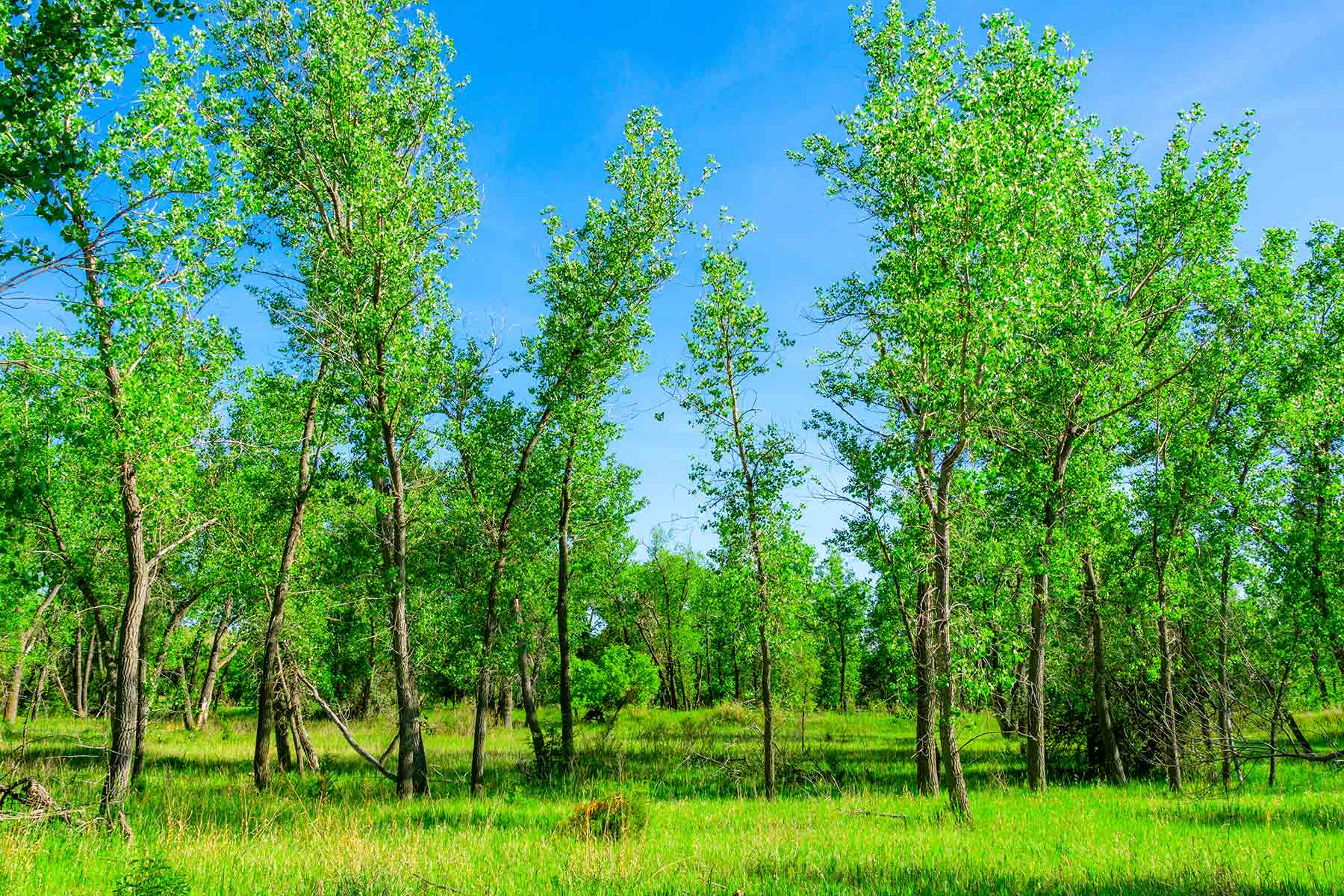 Little White River Ranch property picture 119 of 189