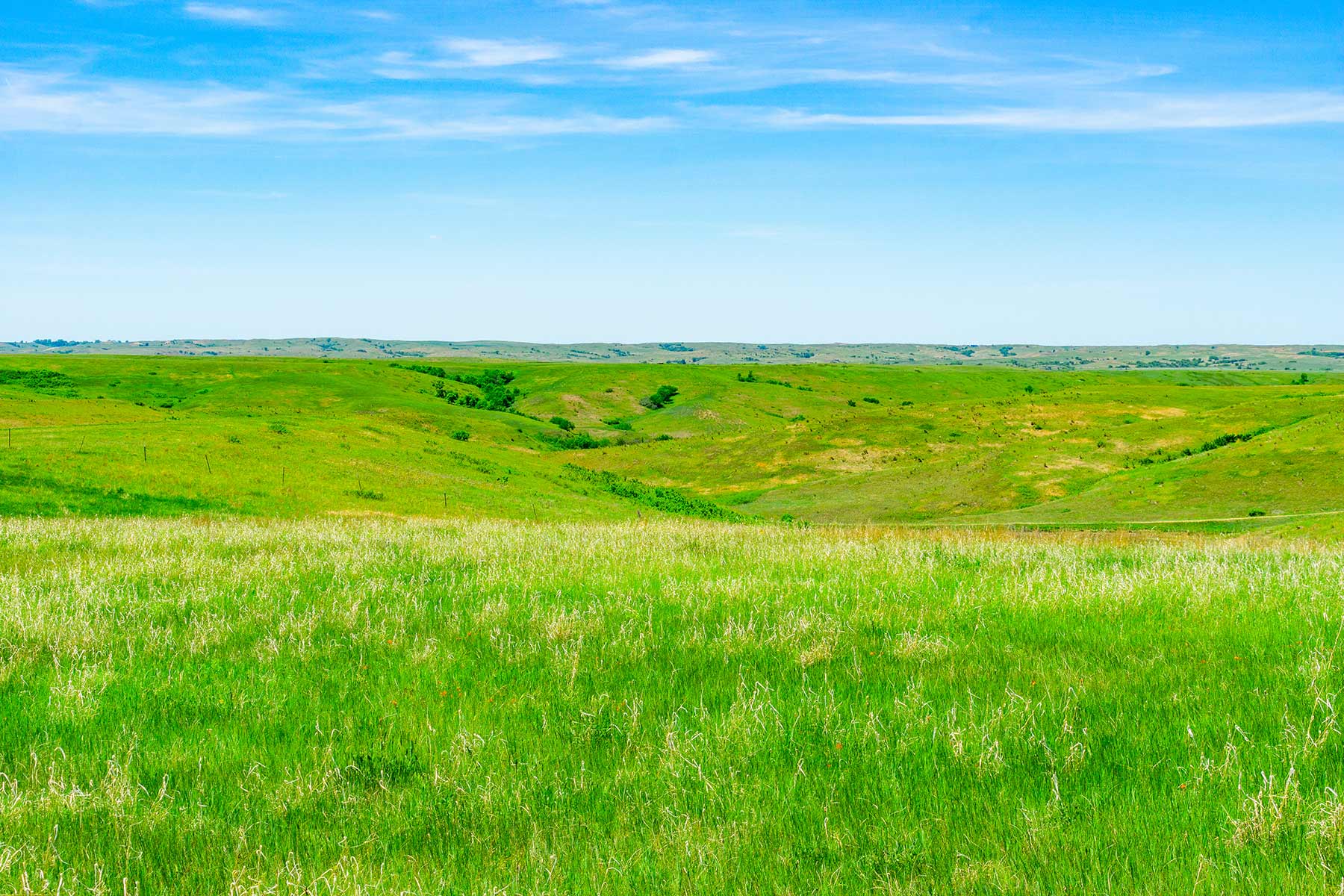 Little White River Ranch property picture 57 of 189