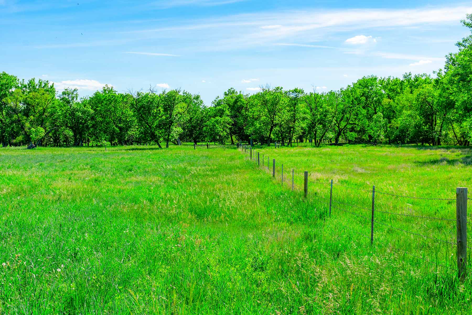 Little White River Ranch property picture 122 of 189