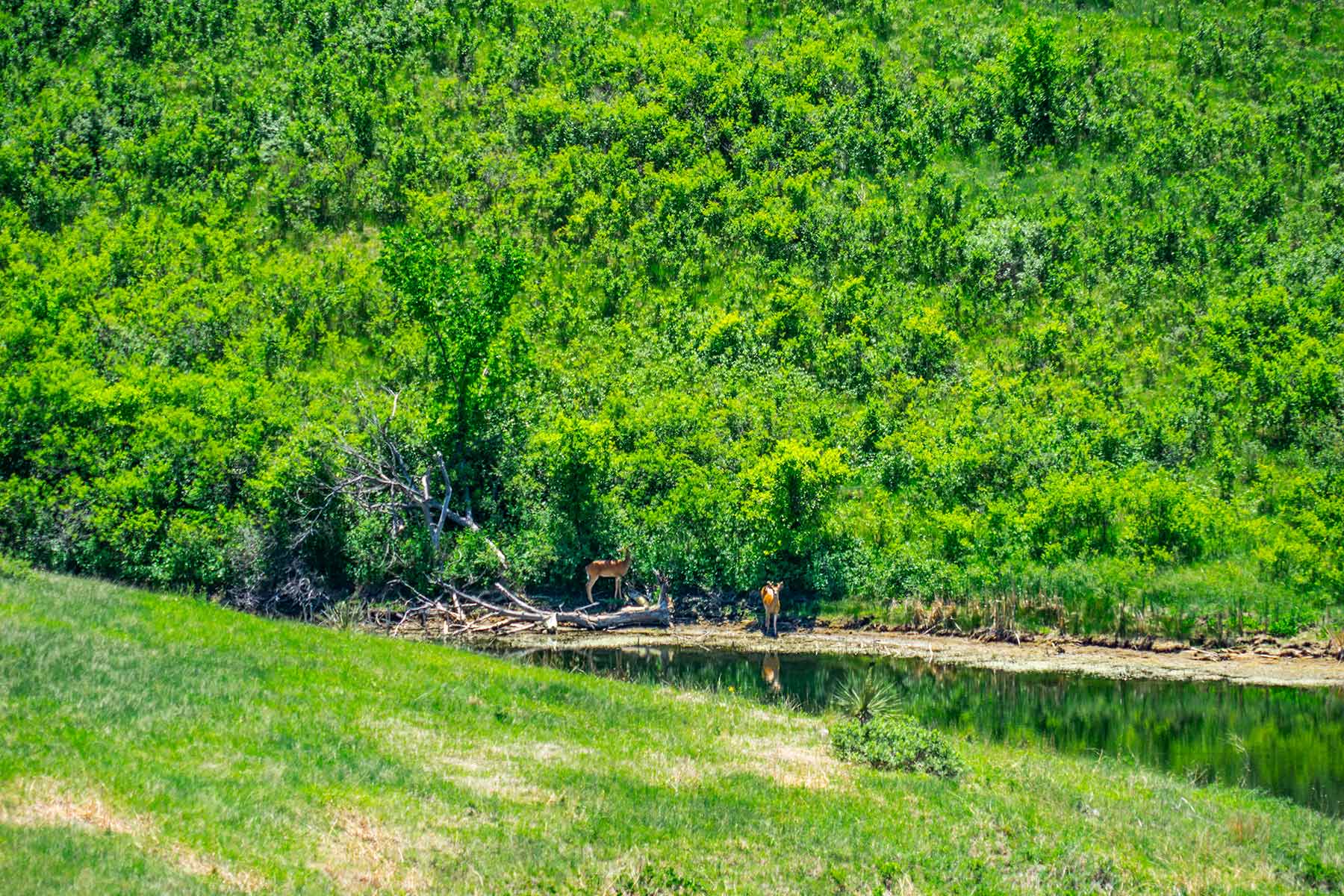 Little White River Ranch property picture 47 of 189