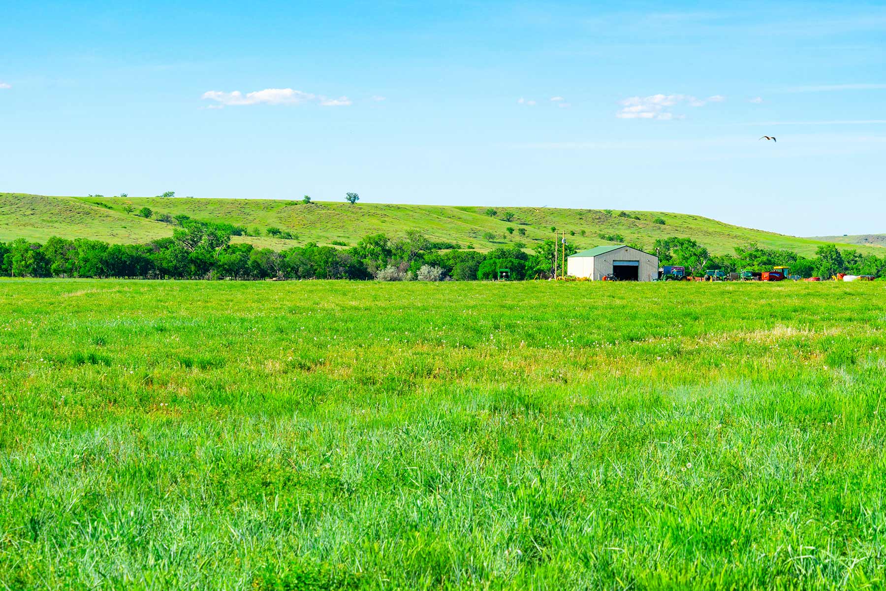 Little White River Ranch property picture 143 of 189