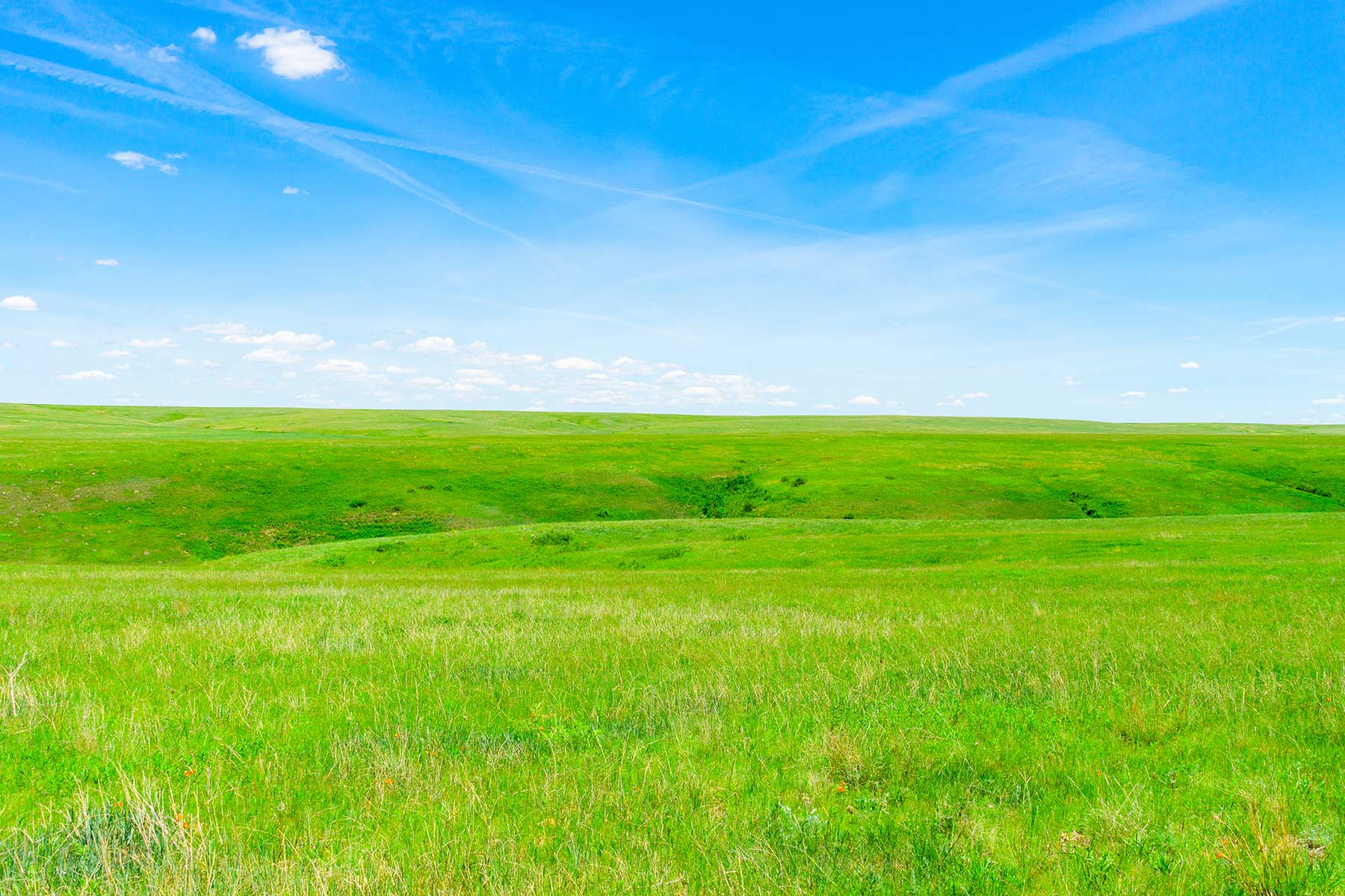 Little White River Ranch property picture 82 of 189