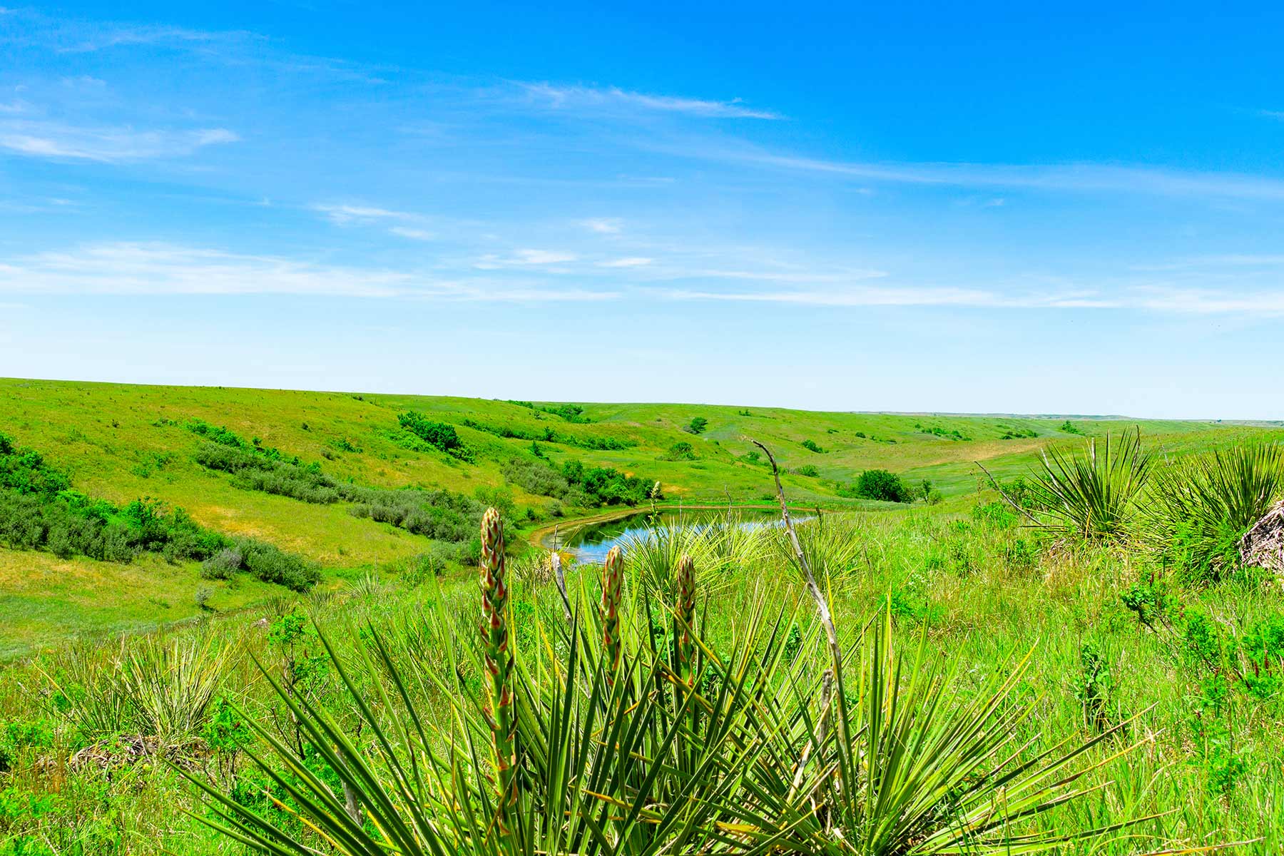 Little White River Ranch property picture 53 of 189