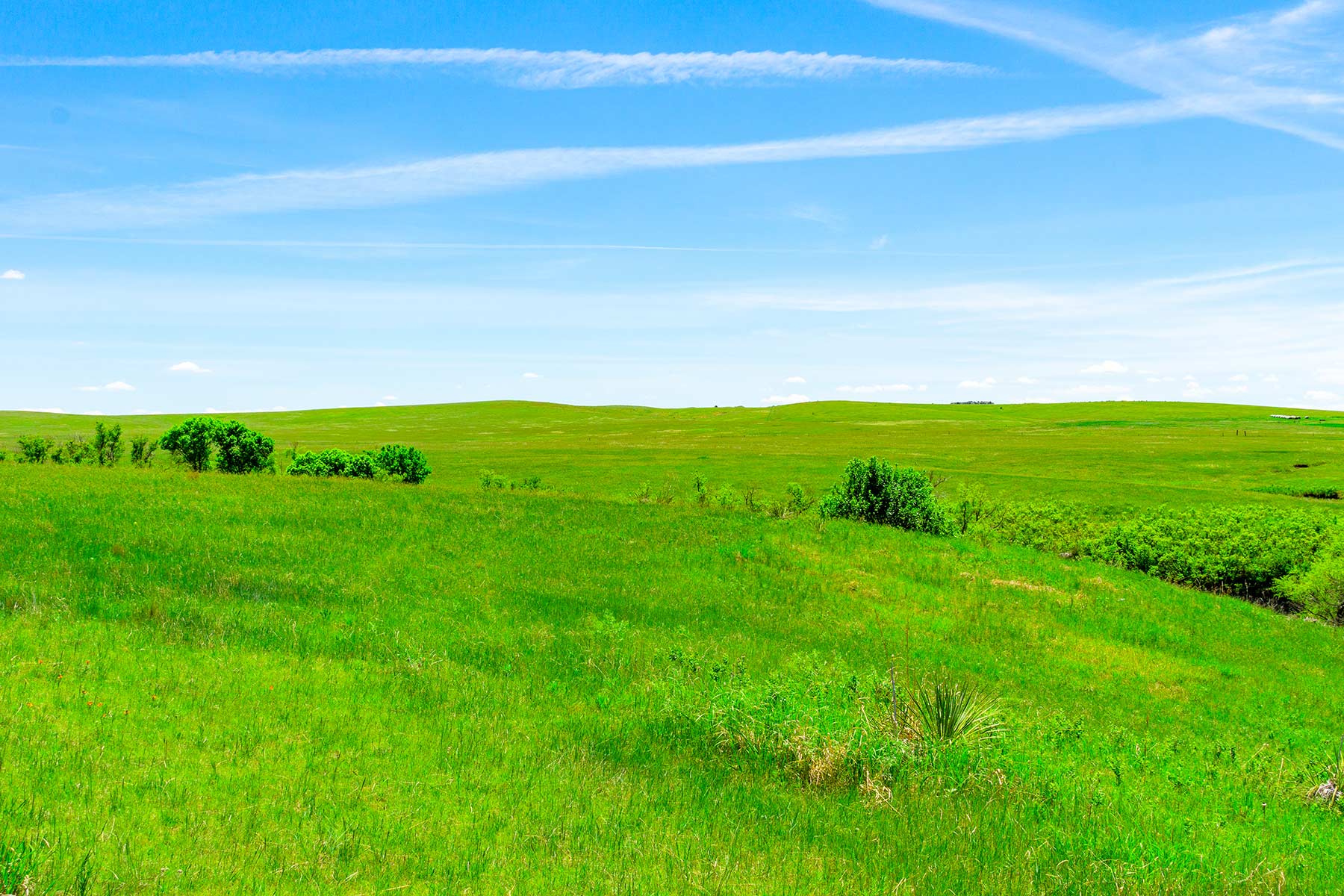 Little White River Ranch property picture 83 of 189