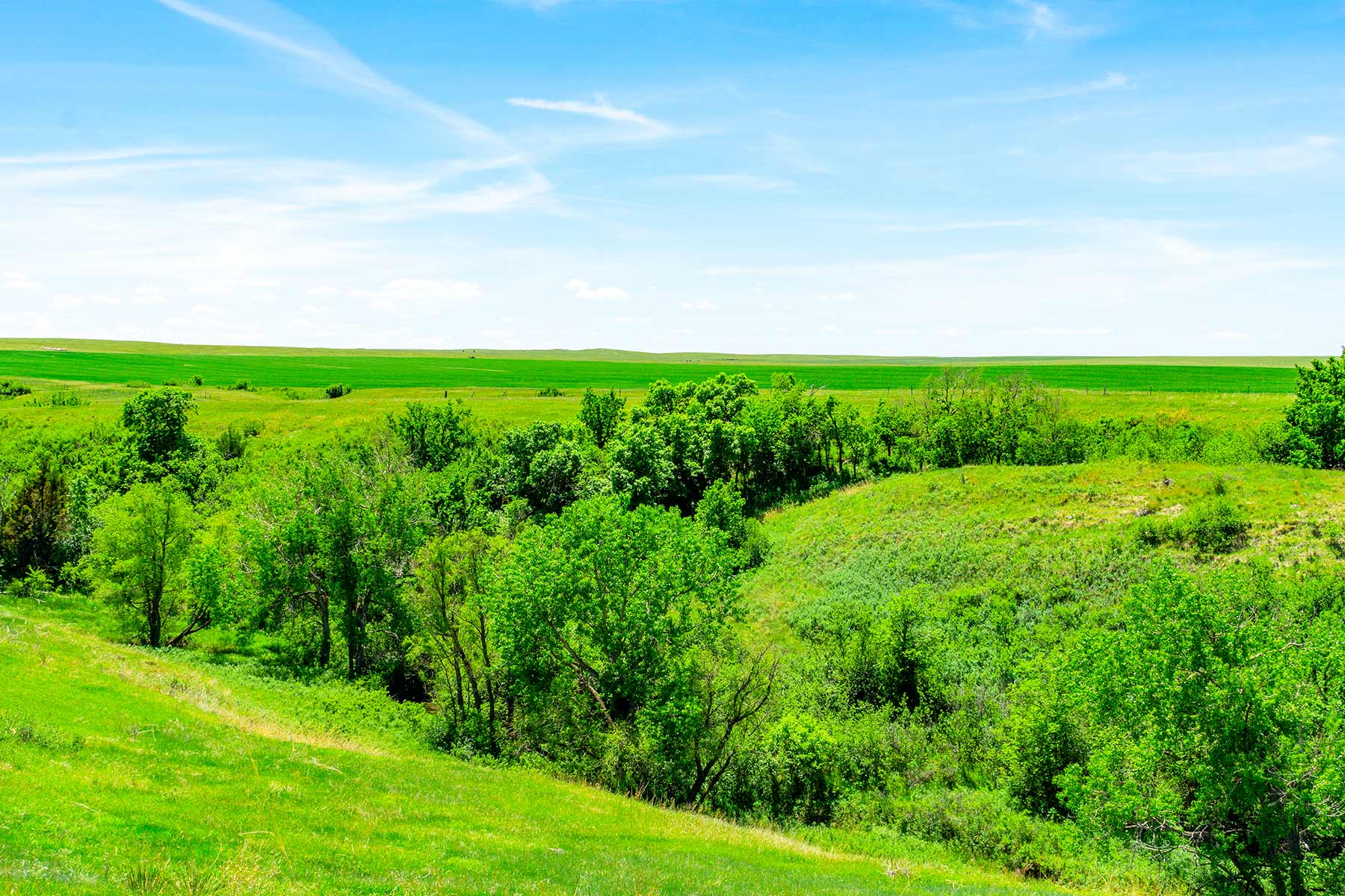 Little White River Ranch property picture 81 of 189