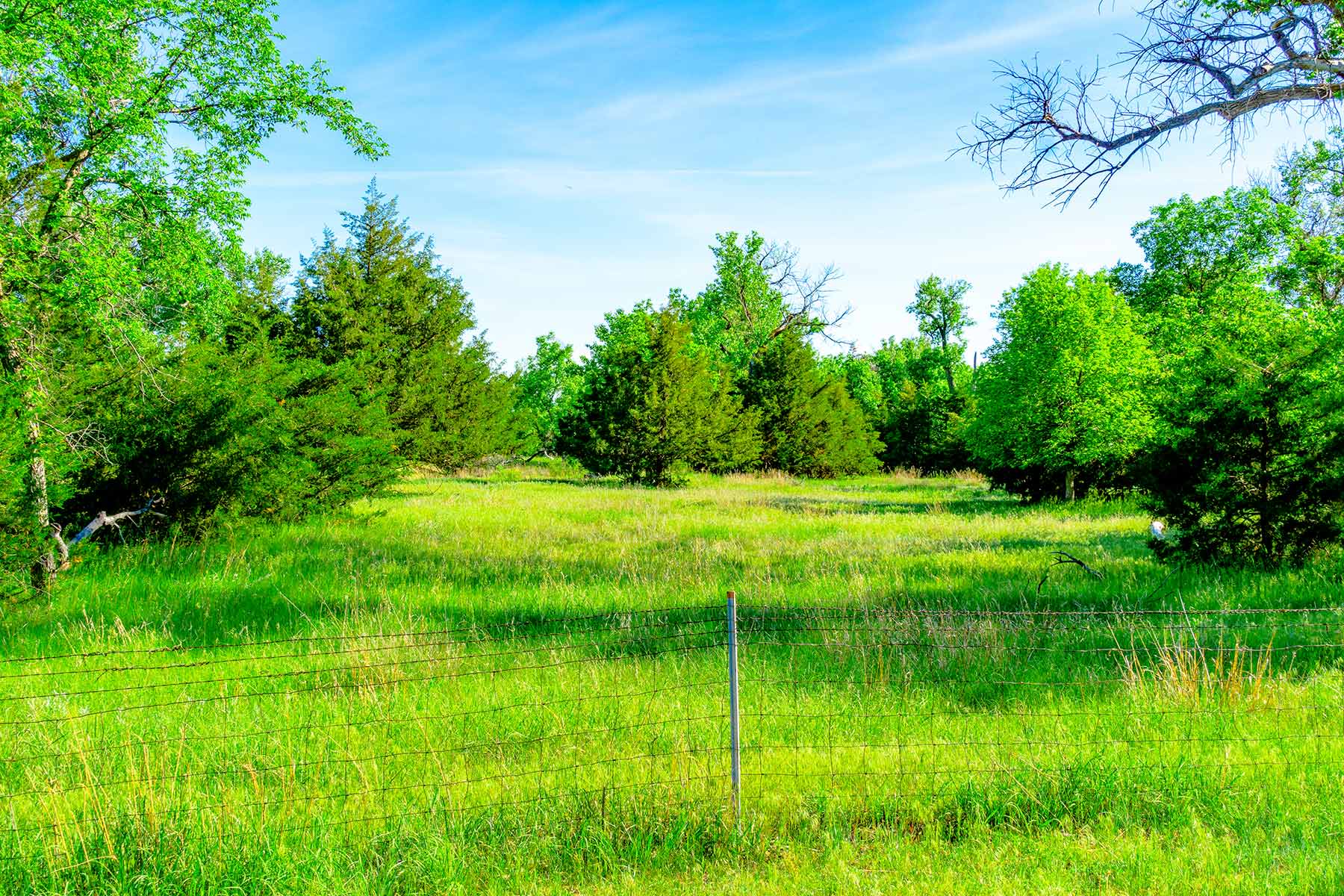 Little White River Ranch property picture 124 of 189
