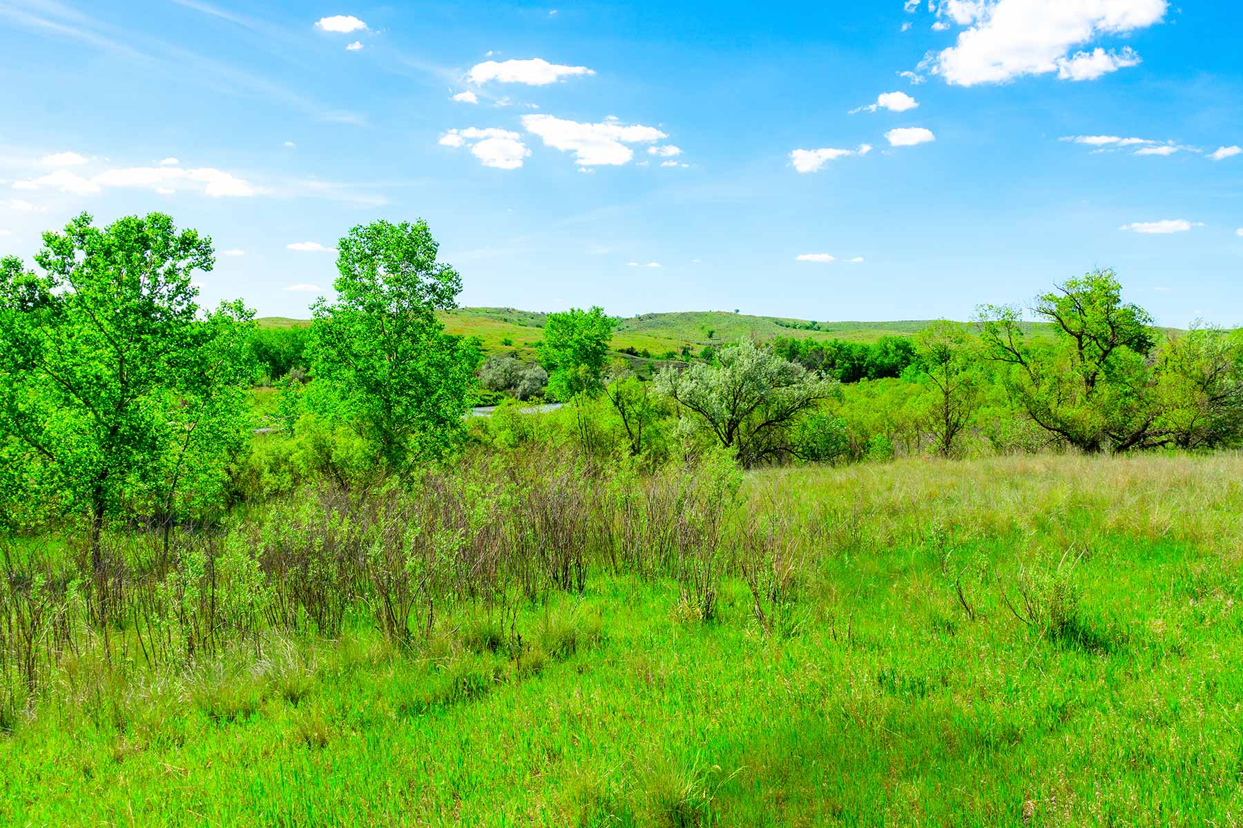 Little White River Ranch property picture 110 of 189