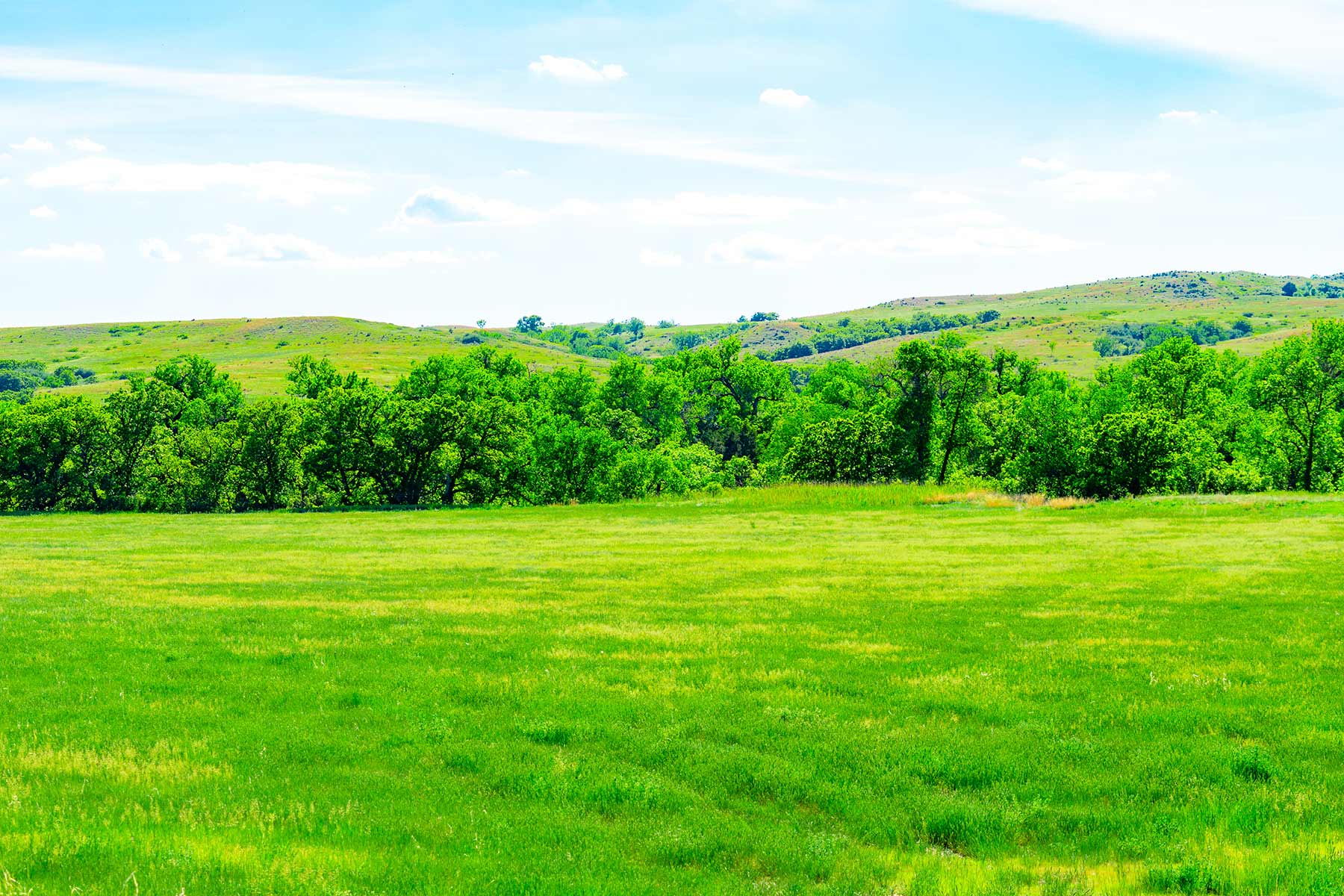 Little White River Ranch property picture 129 of 189