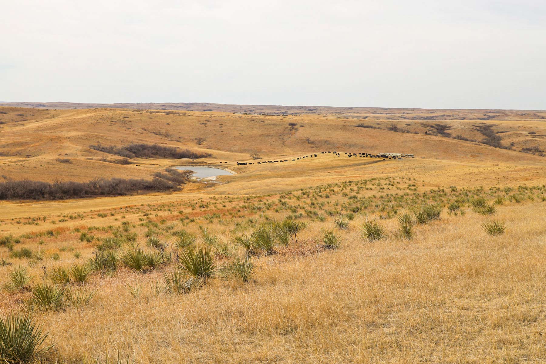 Little White River Ranch property picture 164 of 189