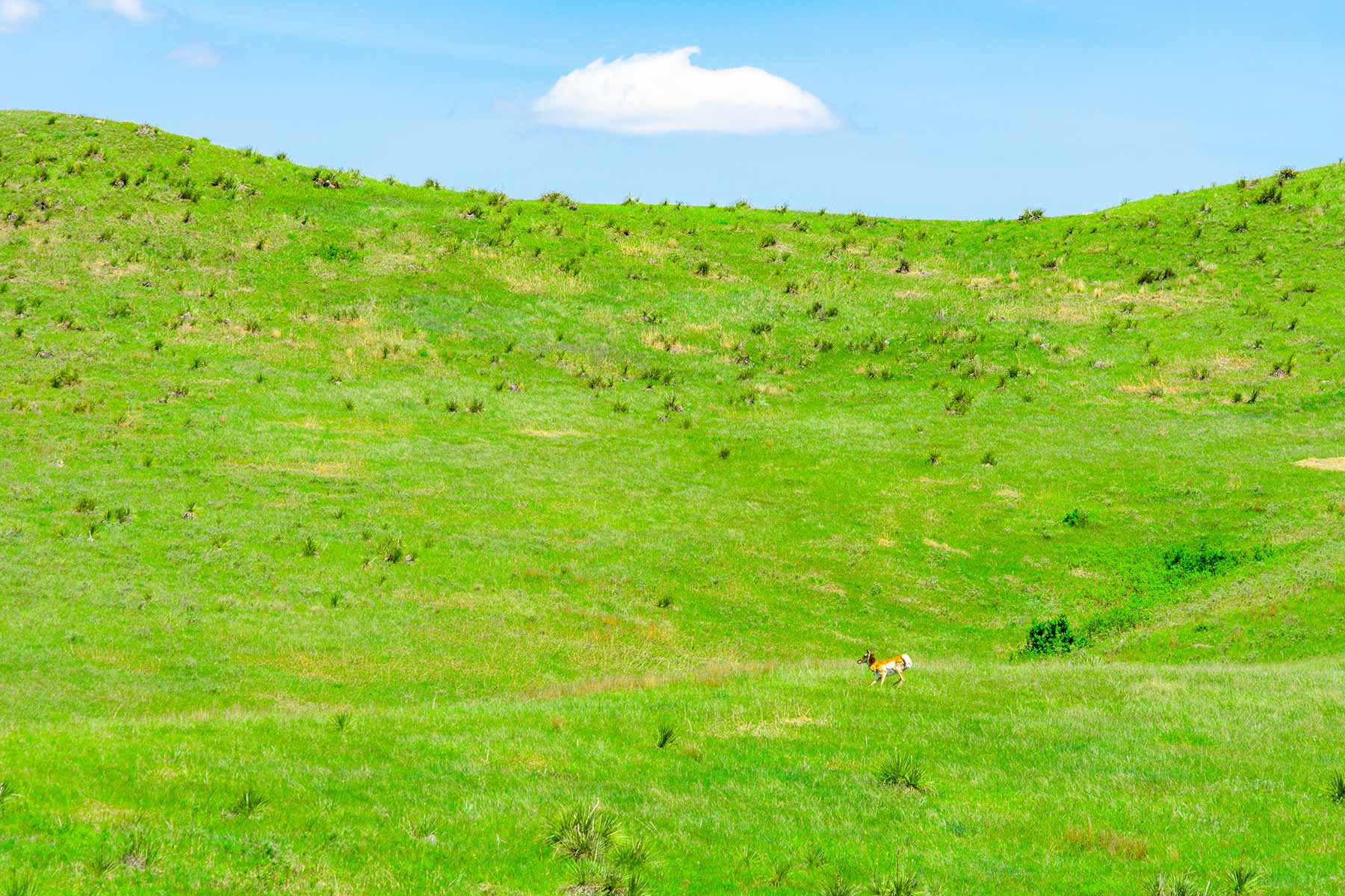 Little White River Ranch property picture 44 of 189