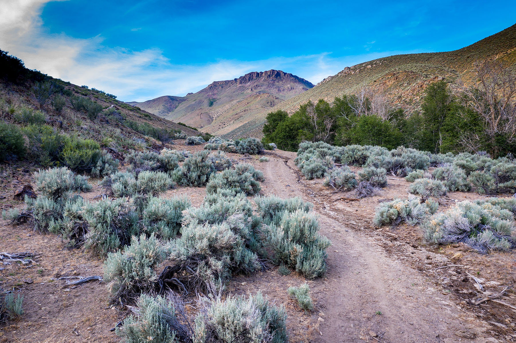 Clear Creek Ranch property picture 35 of 35