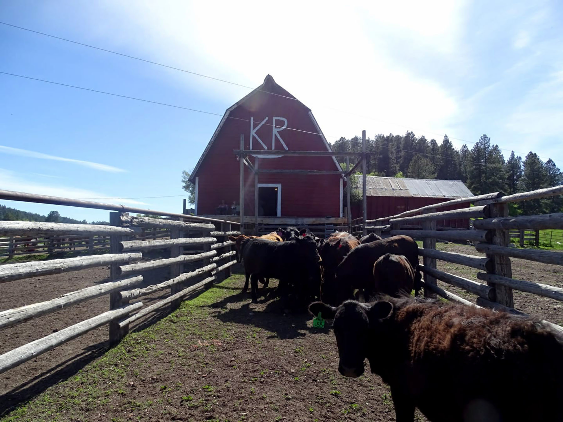 KR Rocking Ranch property picture 10 of 38