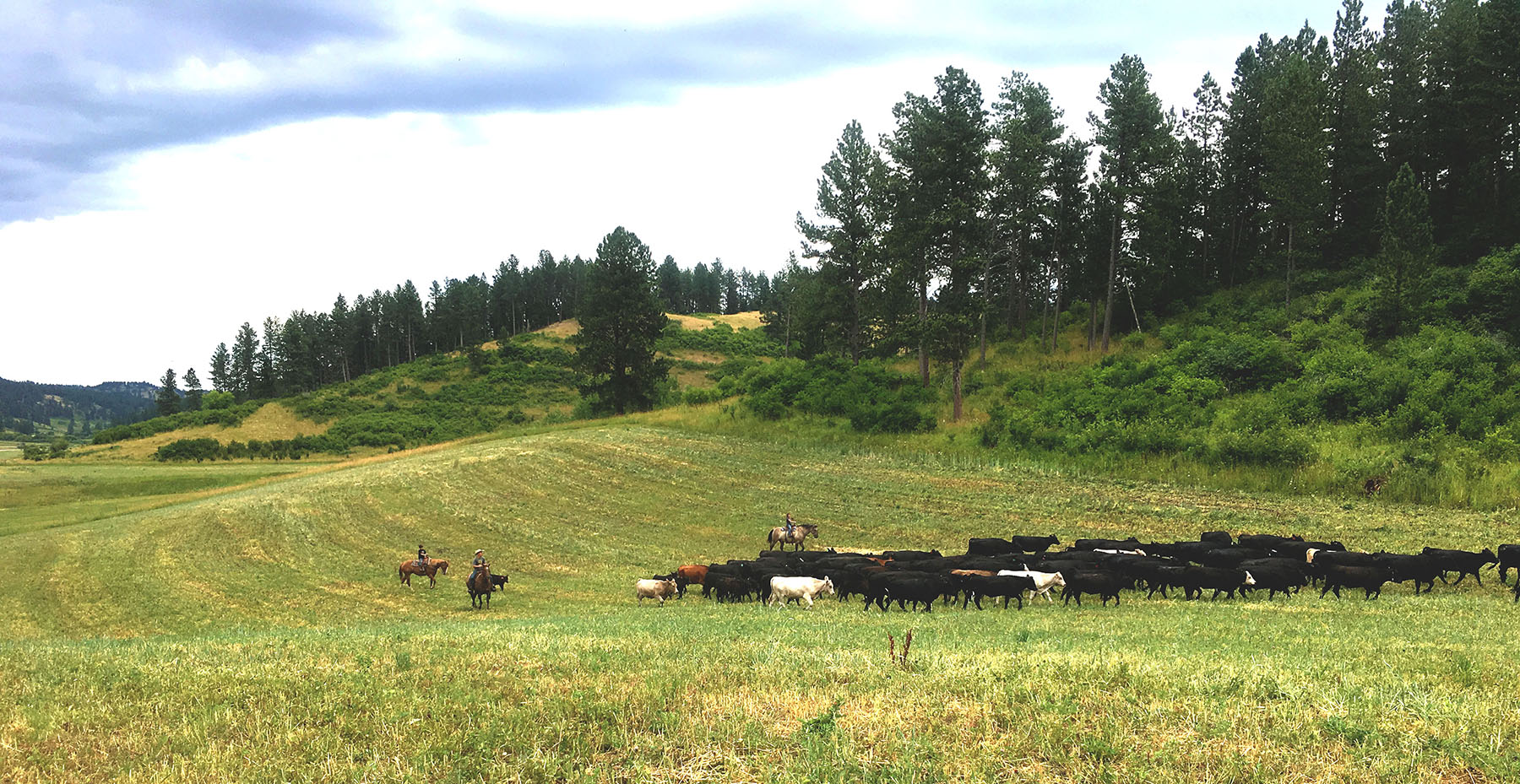KR Rocking Ranch property picture 35 of 38