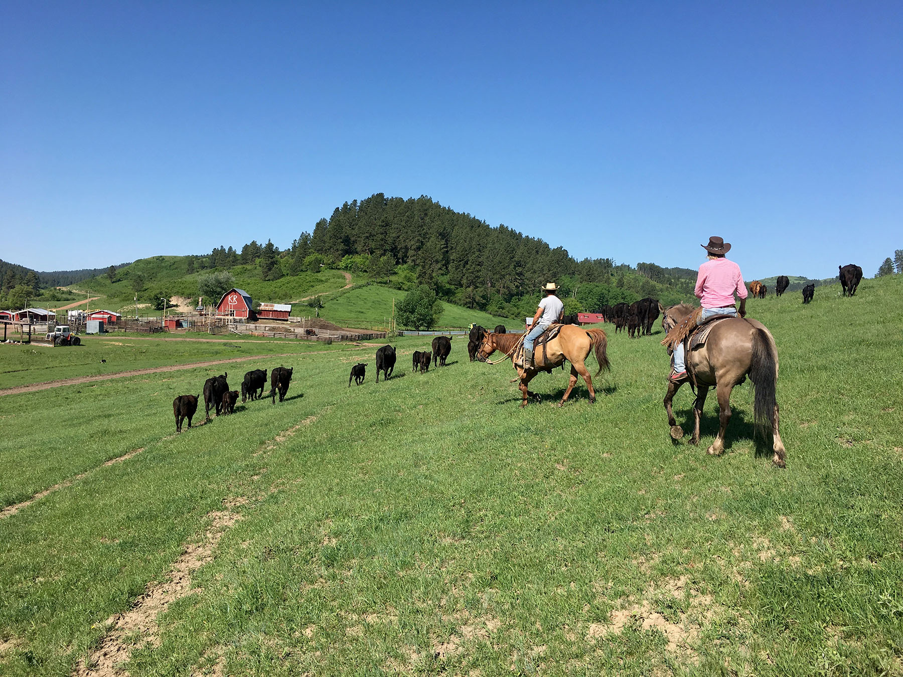 KR Rocking Ranch property picture 2 of 38
