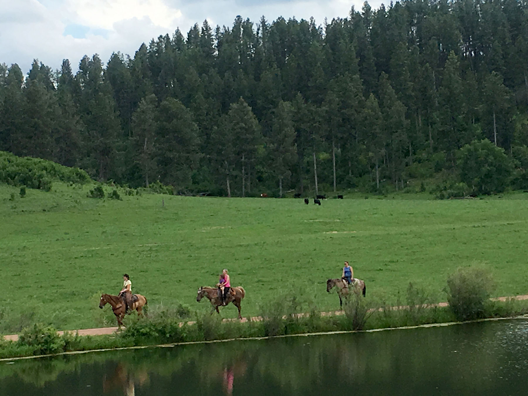 KR Rocking Ranch property picture 34 of 38