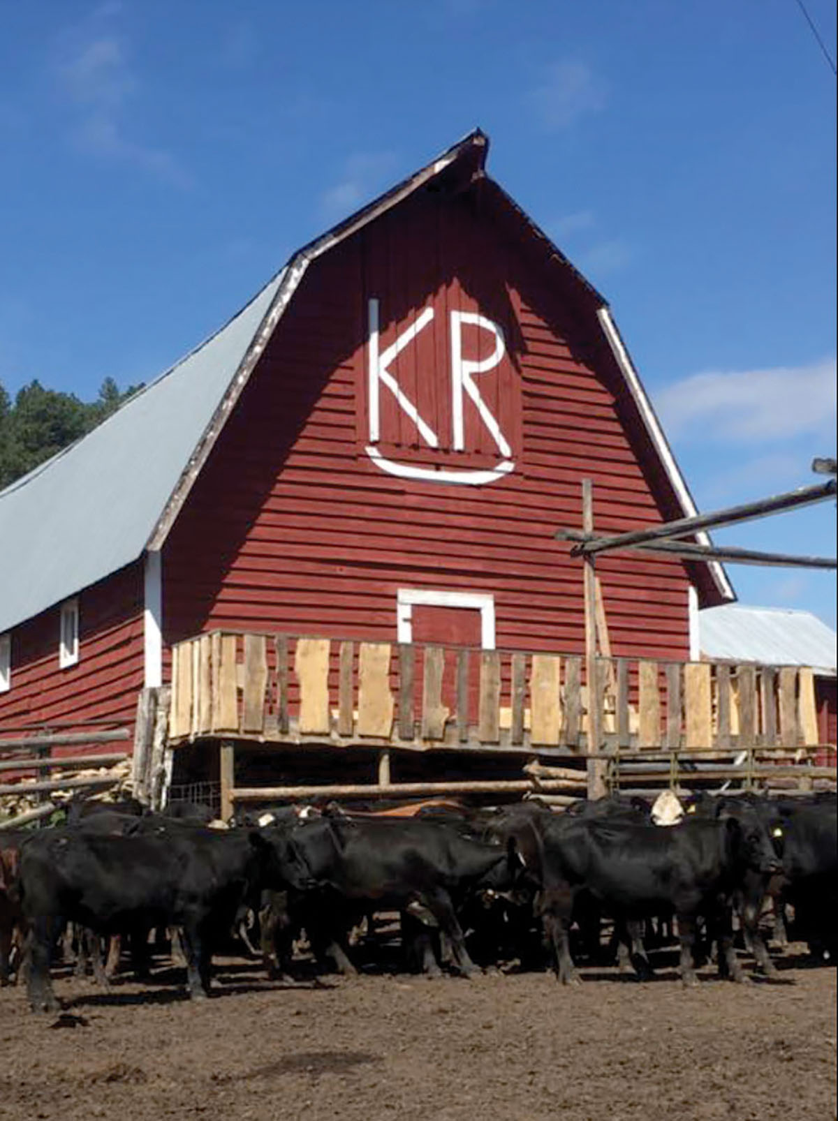 KR Rocking Ranch property picture 19 of 38