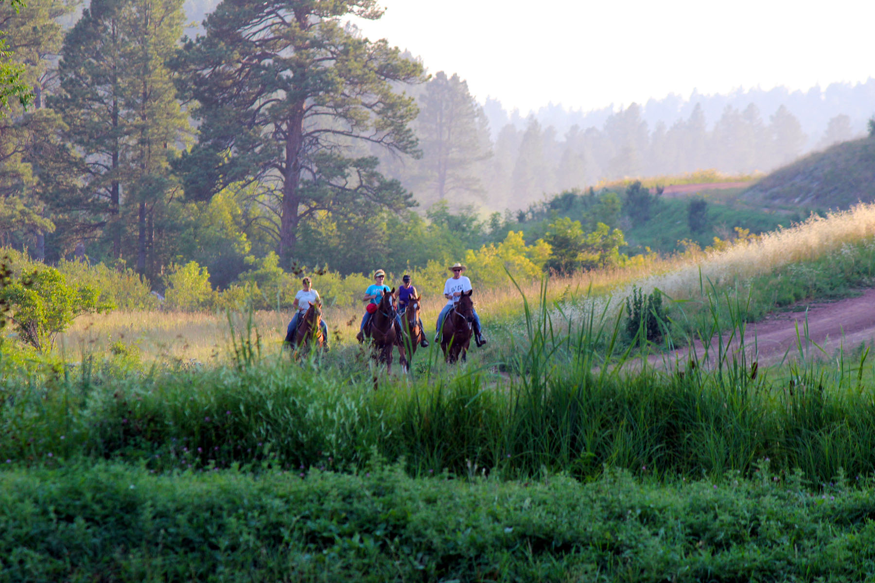 KR Rocking Ranch property picture 12 of 38