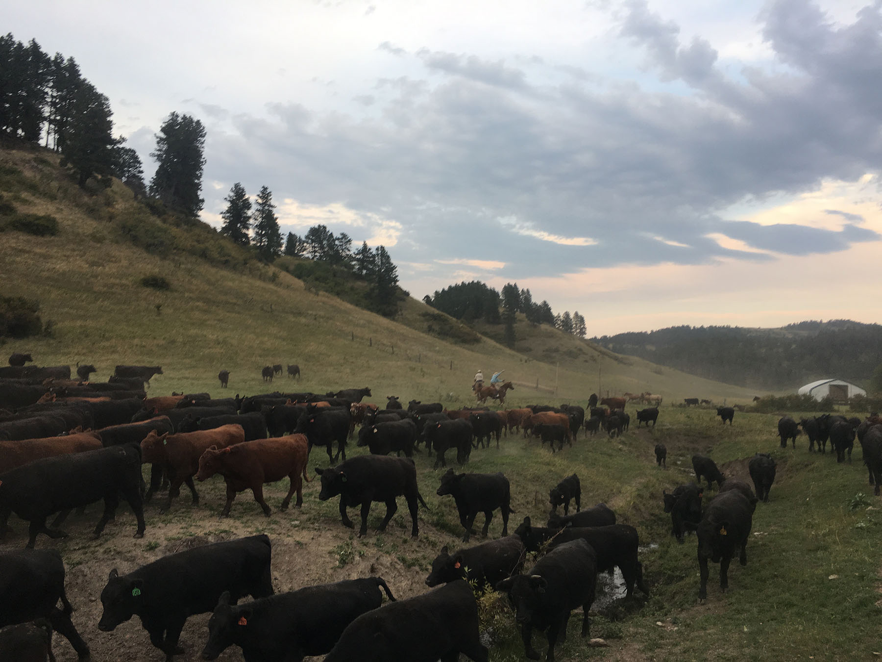 KR Rocking Ranch property picture 23 of 38