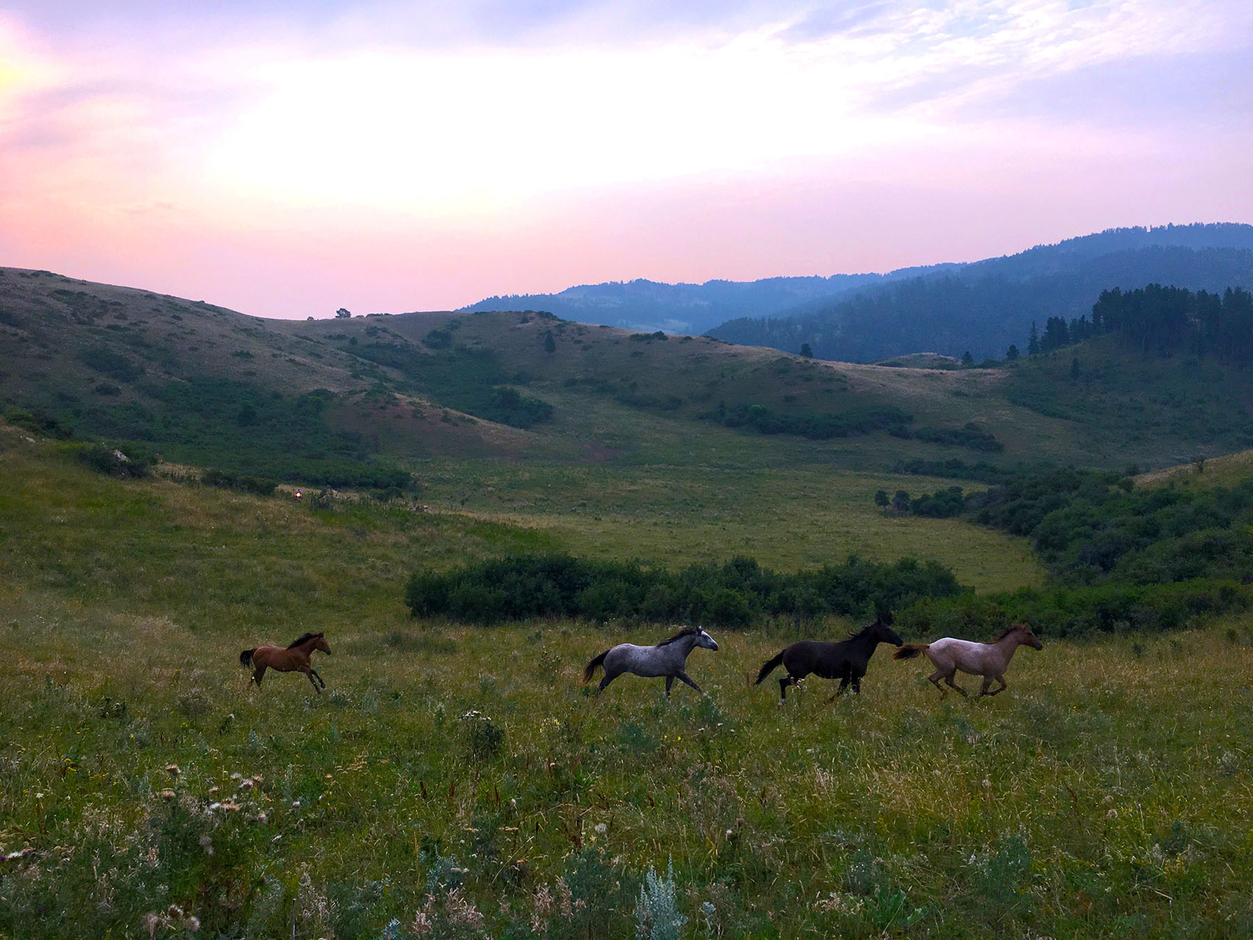 KR Rocking Ranch property picture 18 of 38