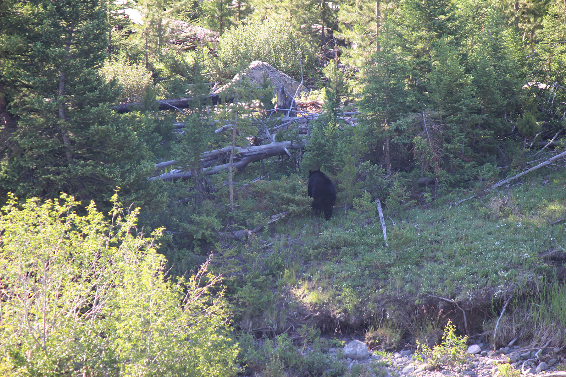 KR Rocking Ranch property picture 36 of 38