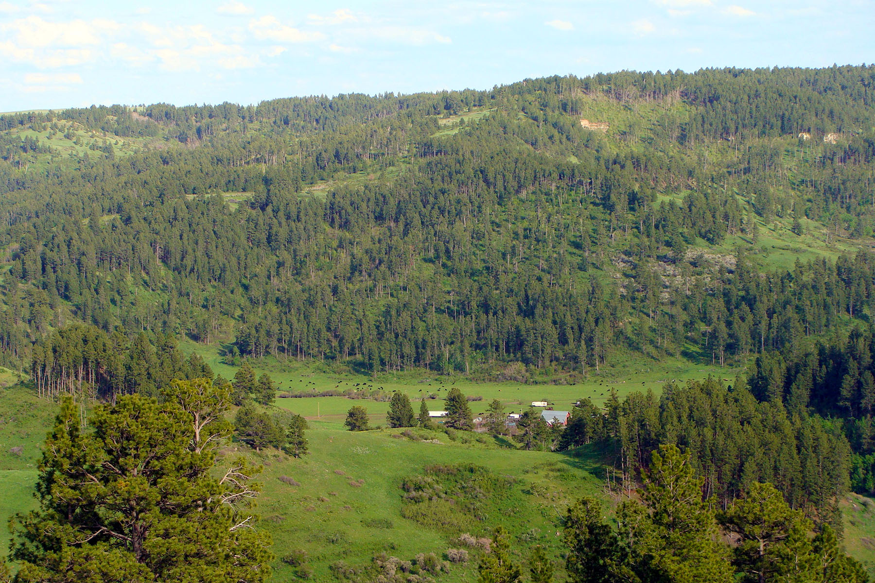 KR Rocking Ranch property picture 7 of 38