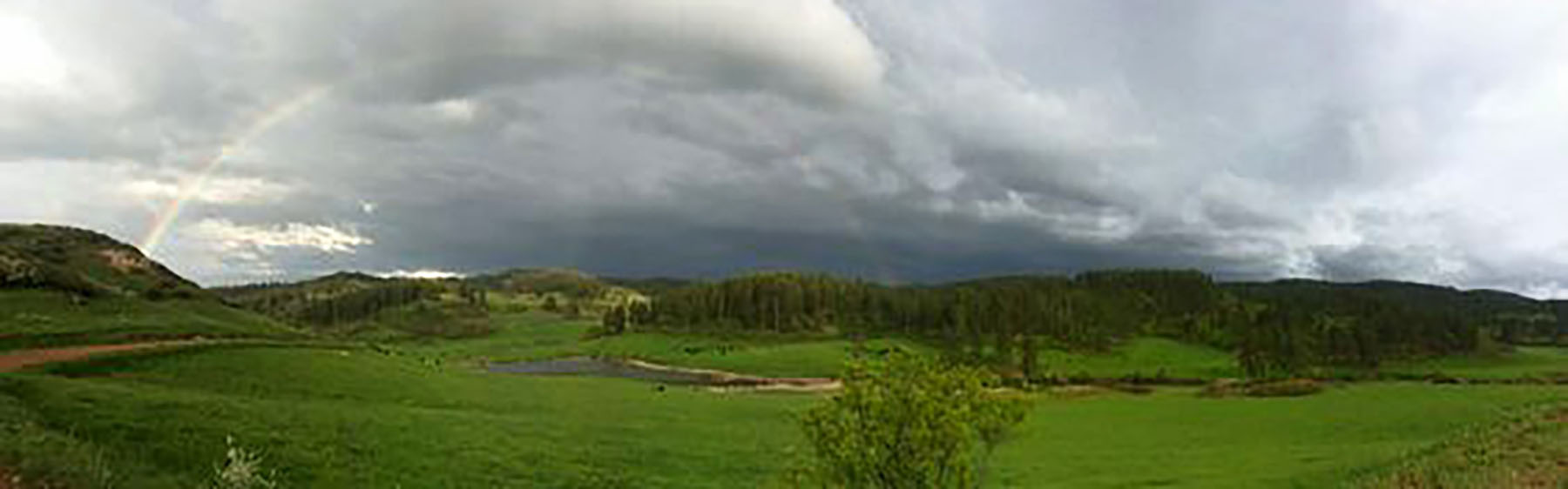 KR Rocking Ranch property picture 17 of 38