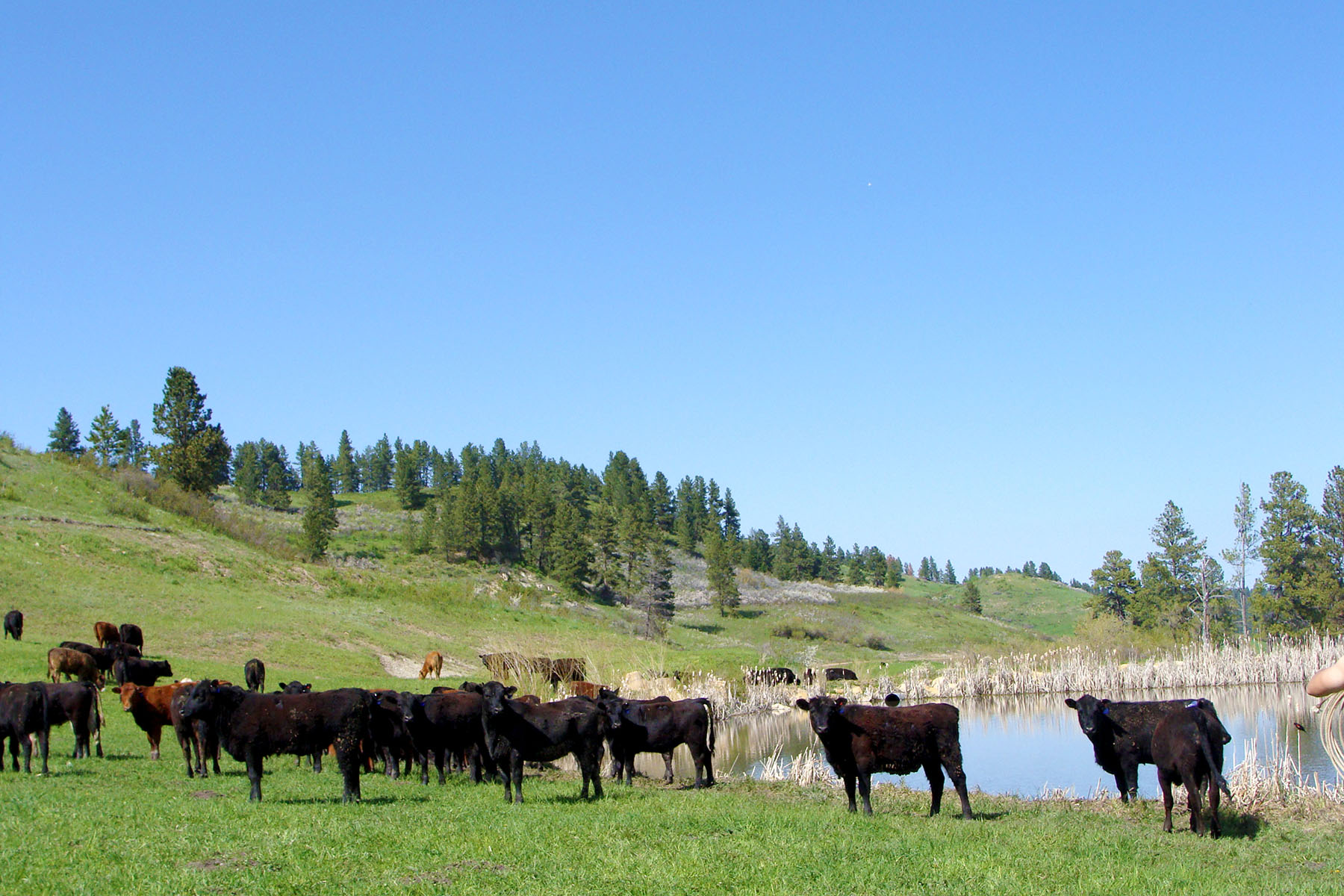KR Rocking Ranch property picture 32 of 38