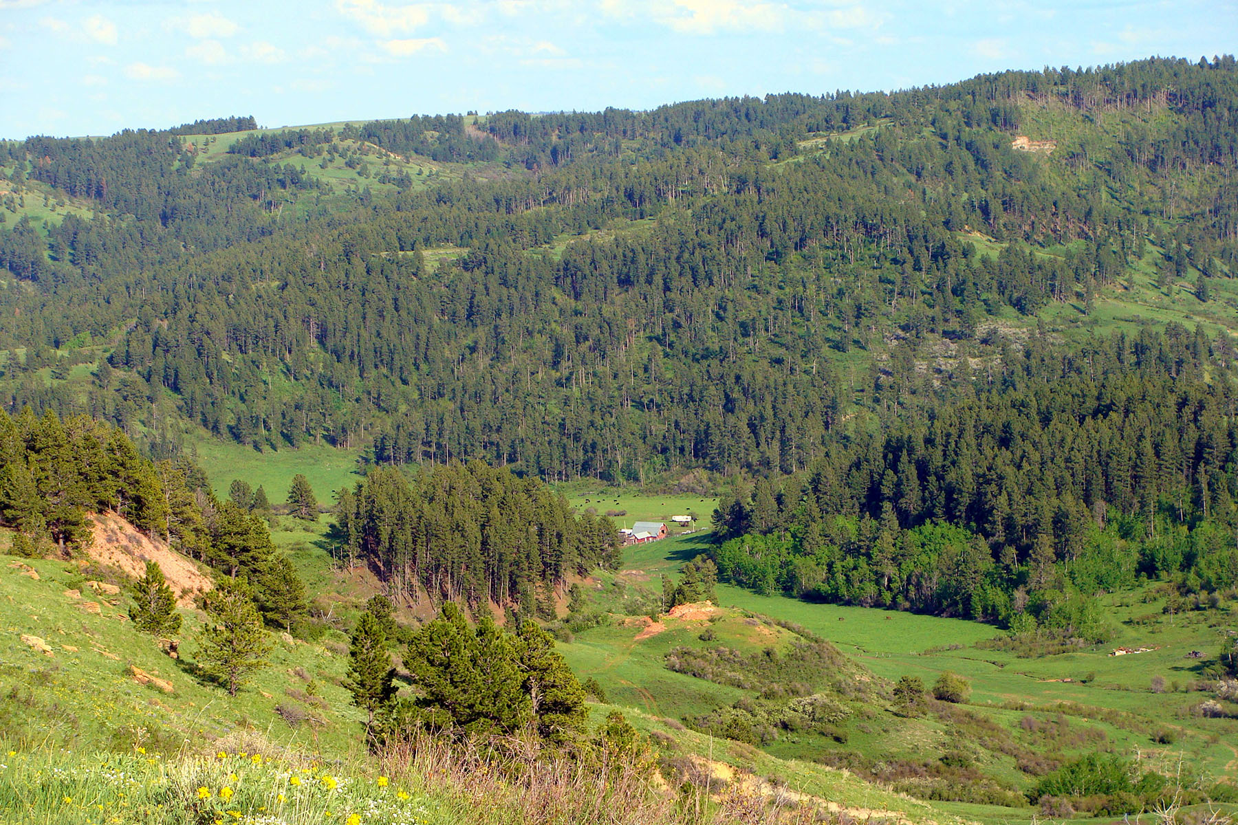 KR Rocking Ranch property picture 14 of 38