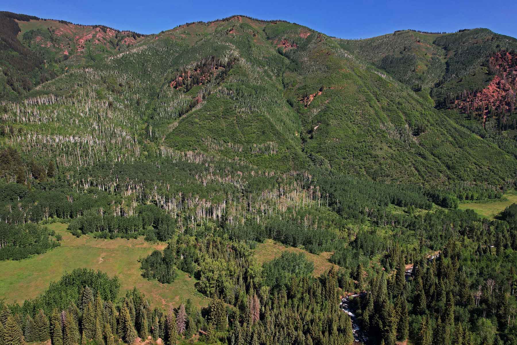 Snowmass Falls Ranch property picture 44 of 76