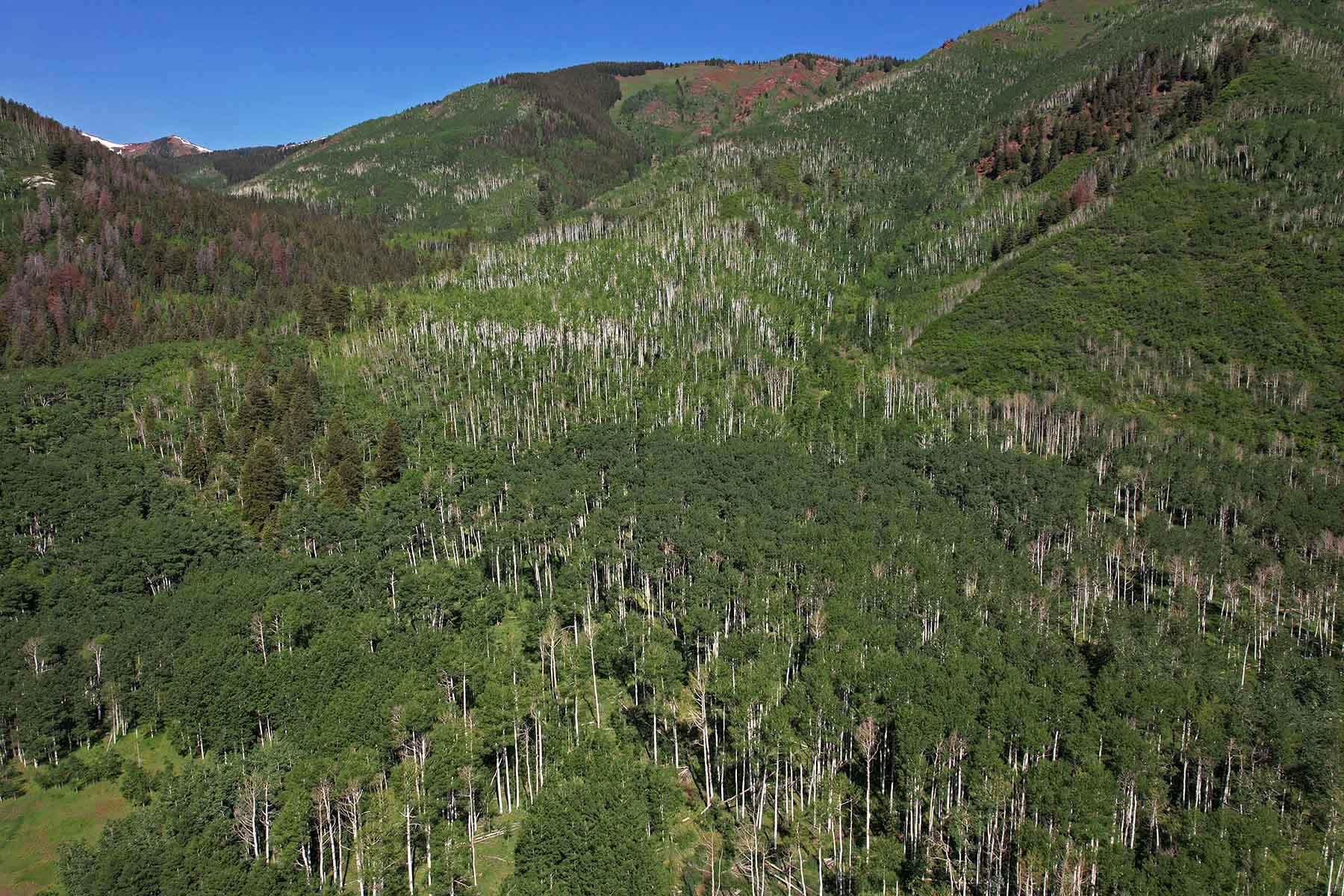 Snowmass Falls Ranch property picture 39 of 76