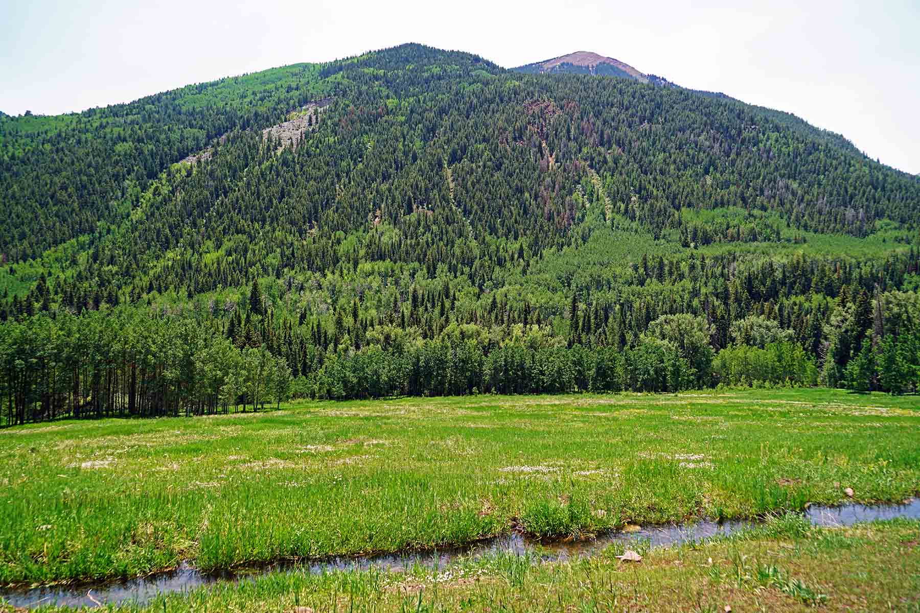 Snowmass Falls Ranch property picture 54 of 76