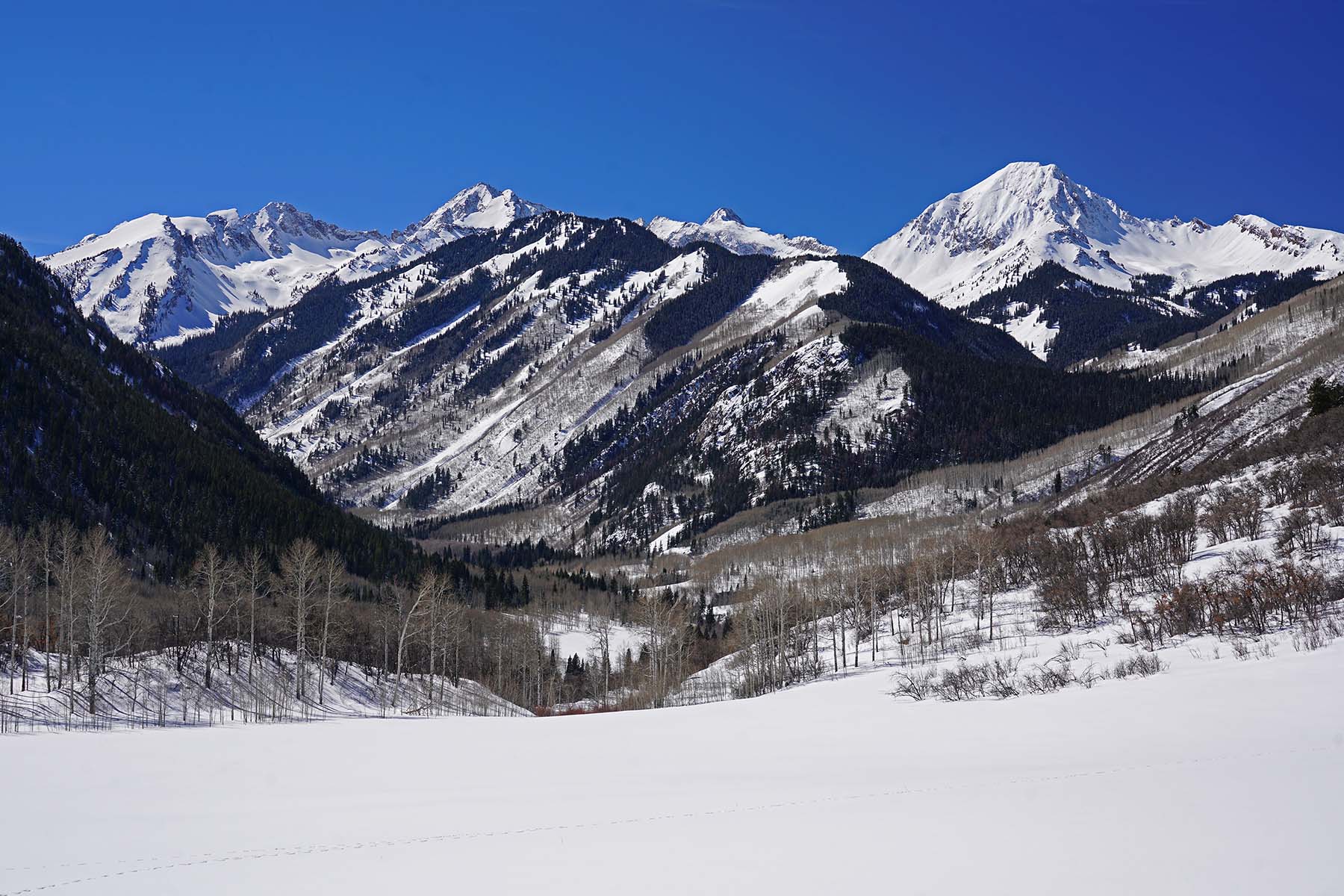 Snowmass Falls Ranch property picture 66 of 76