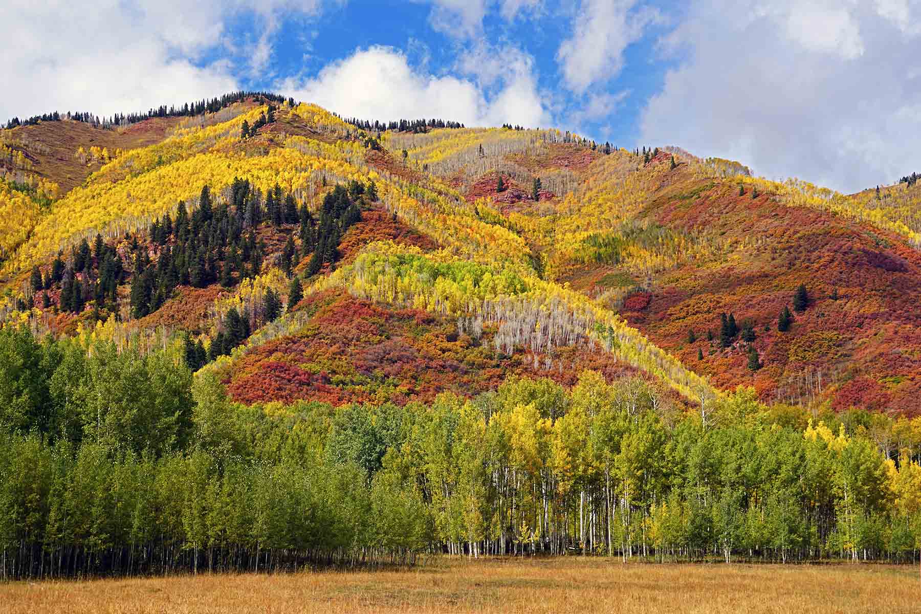 Snowmass Falls Ranch property picture 8 of 76