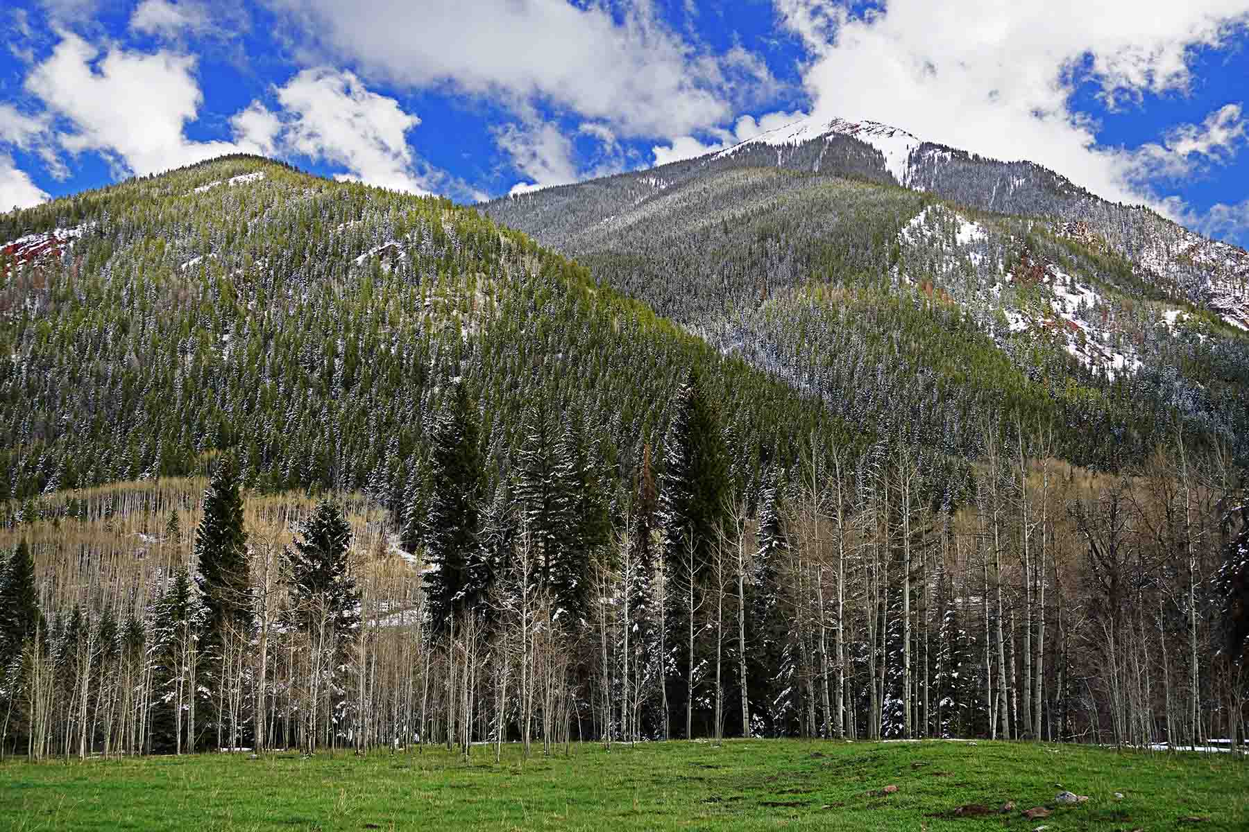 Snowmass Falls Ranch property picture 61 of 76