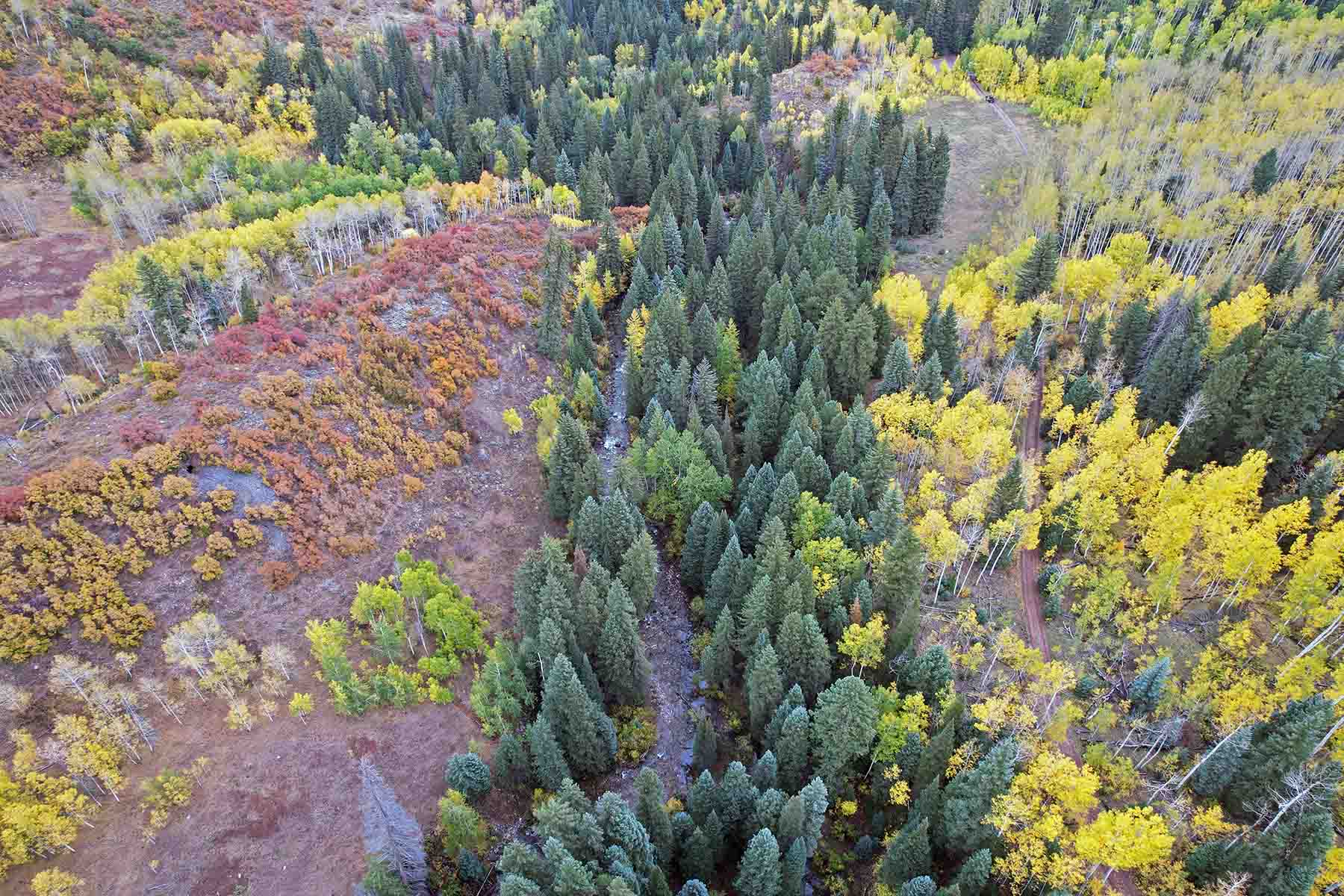 Snowmass Falls Ranch property picture 12 of 76