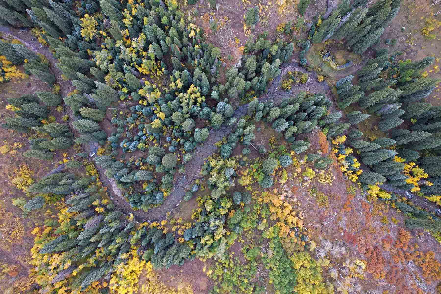 Snowmass Falls Ranch property picture 14 of 76