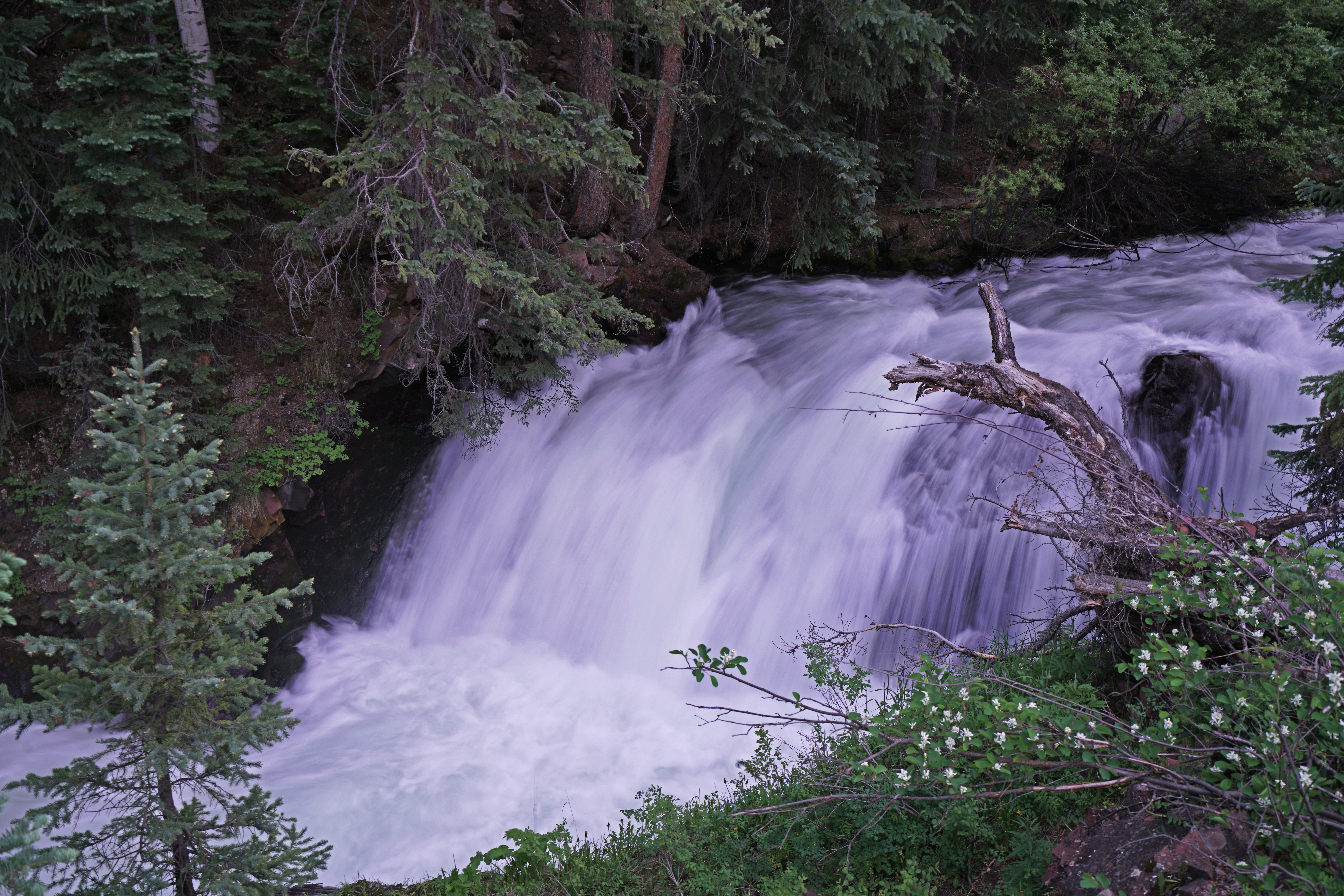 Snowmass Falls Ranch property picture 43 of 76