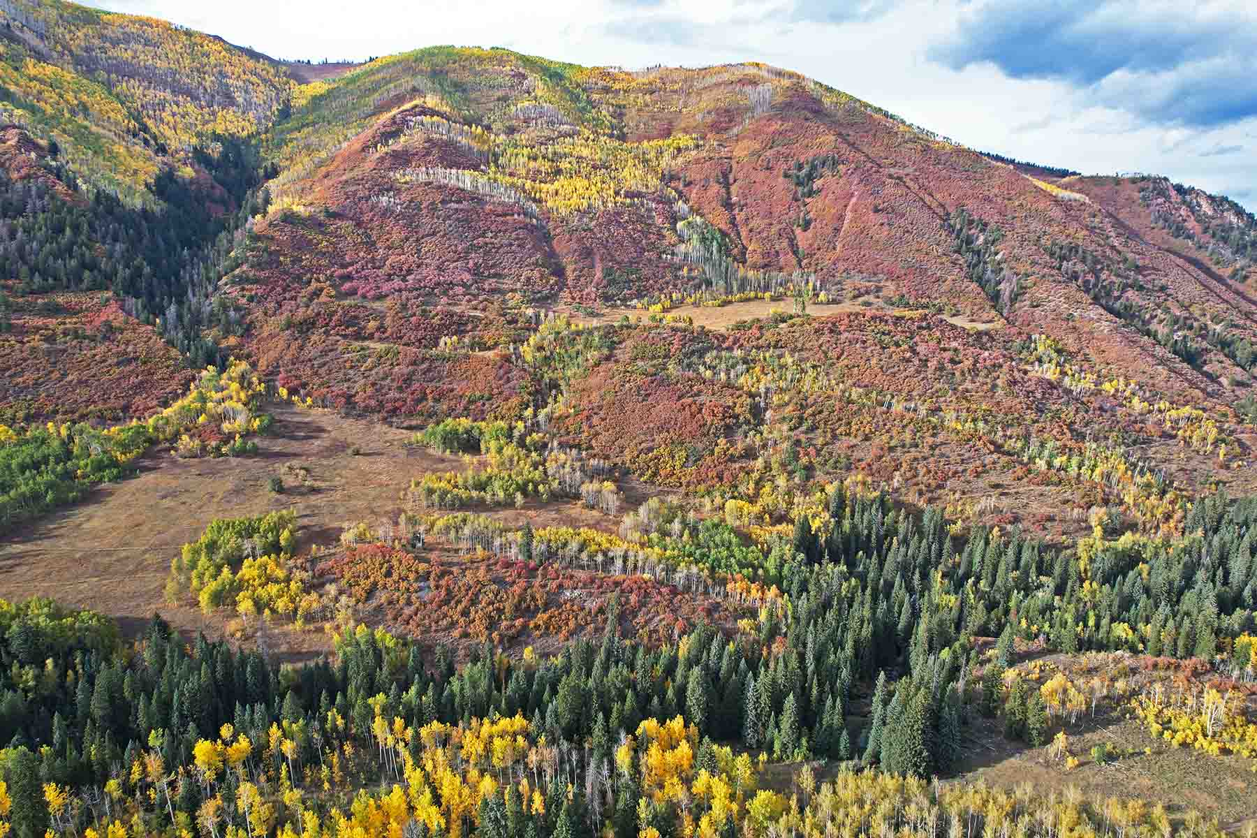 Snowmass Falls Ranch property picture 18 of 76