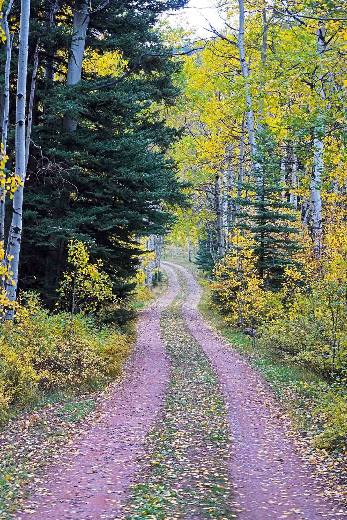 Snowmass Falls Ranch property picture 13 of 76