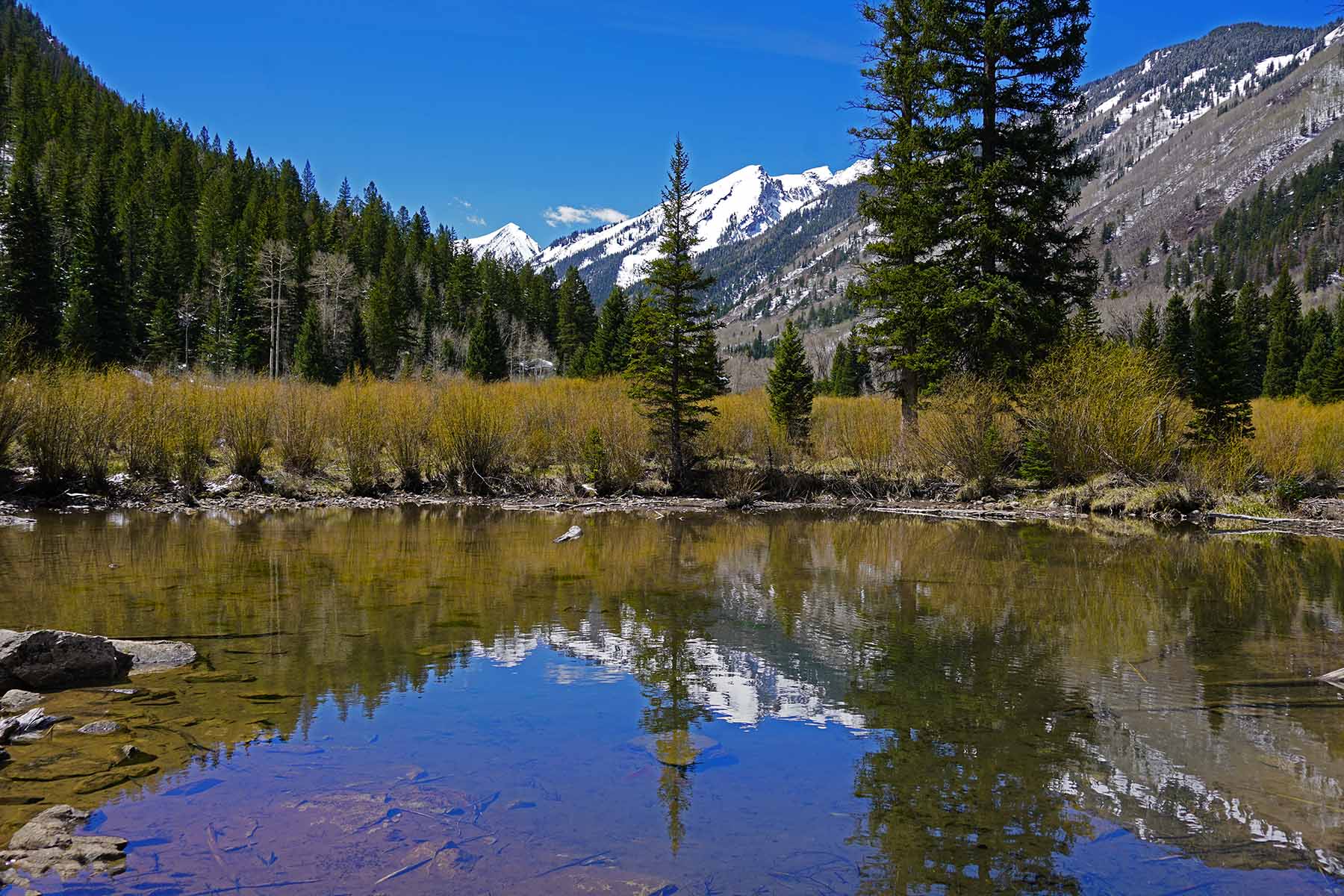 Snowmass Falls Ranch property picture 64 of 76
