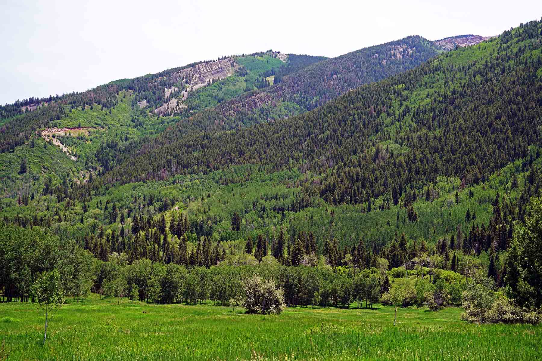 Snowmass Falls Ranch property picture 52 of 76