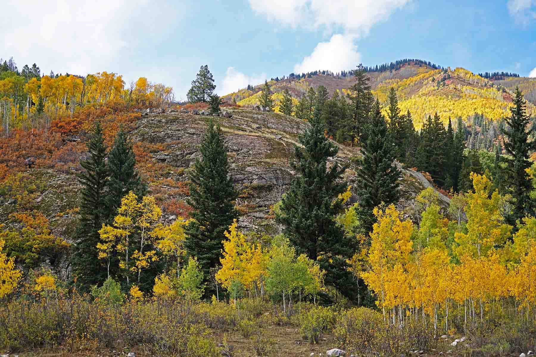 Snowmass Falls Ranch property picture 17 of 76