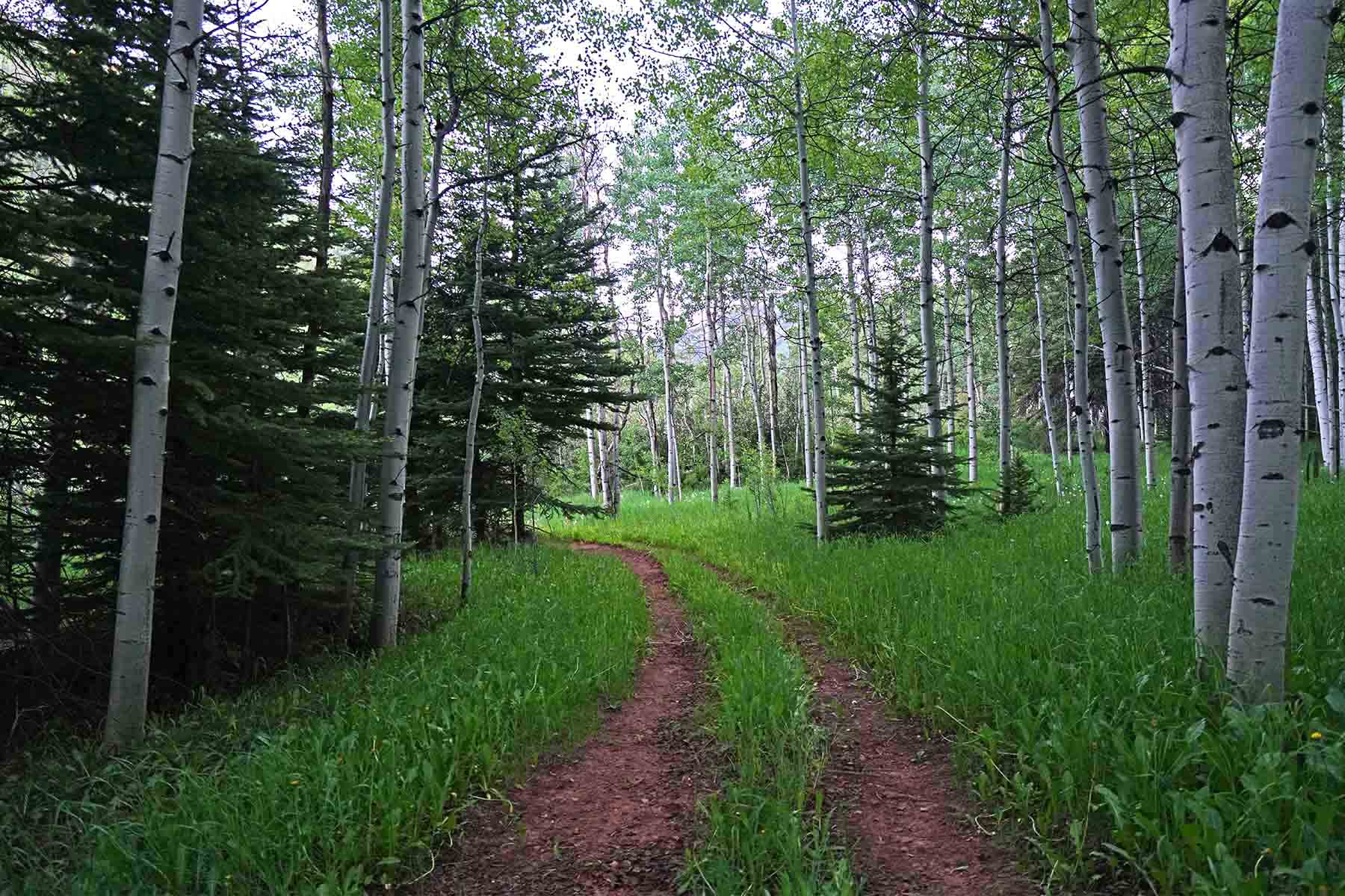 Snowmass Falls Ranch property picture 36 of 76