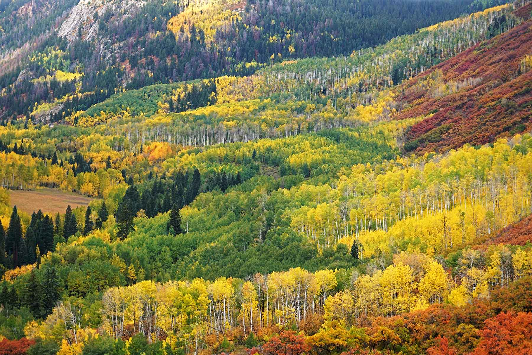 Snowmass Falls Ranch property picture 5 of 76