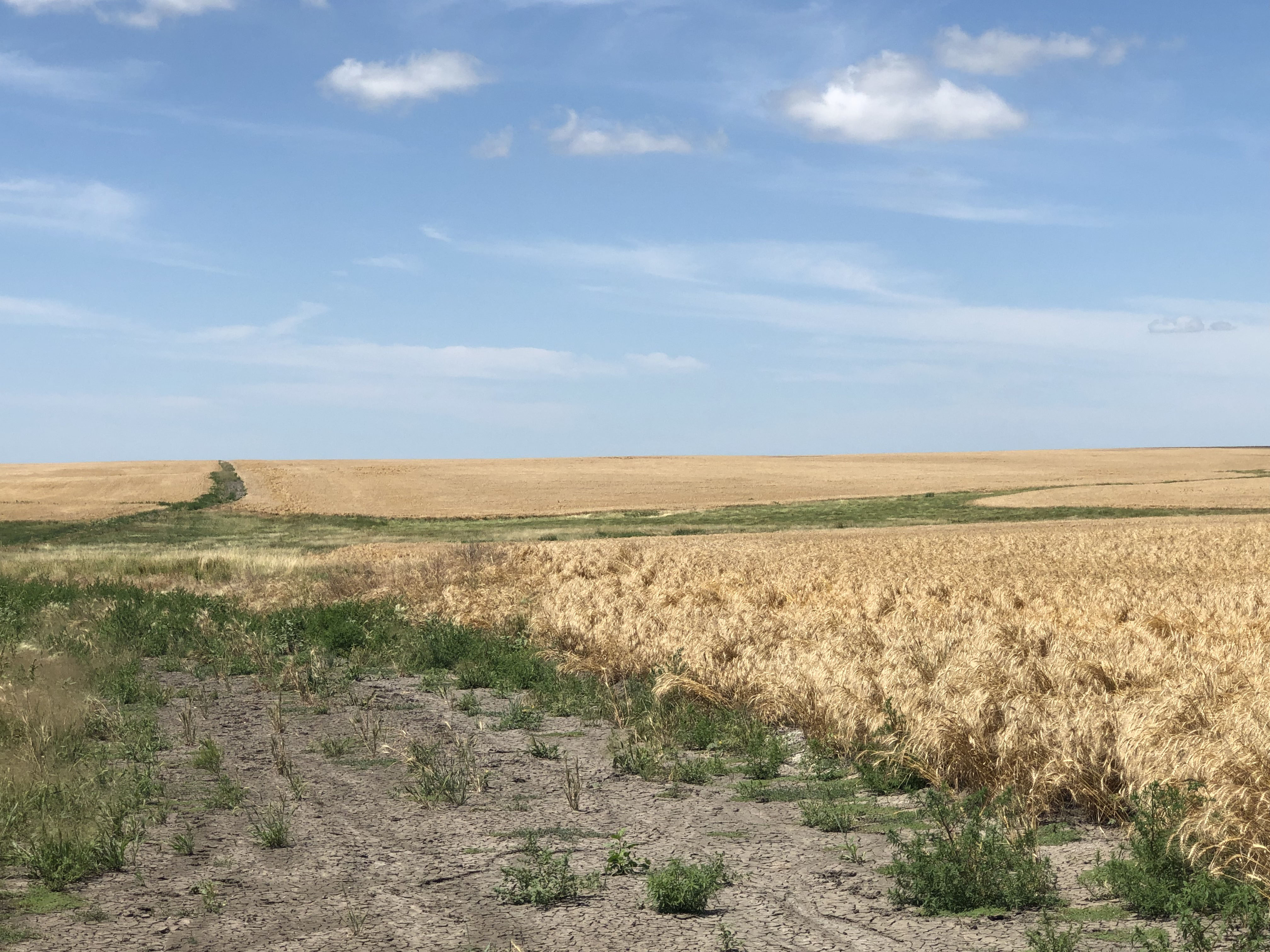 Buffalo County Farm Land property picture 24 of 33